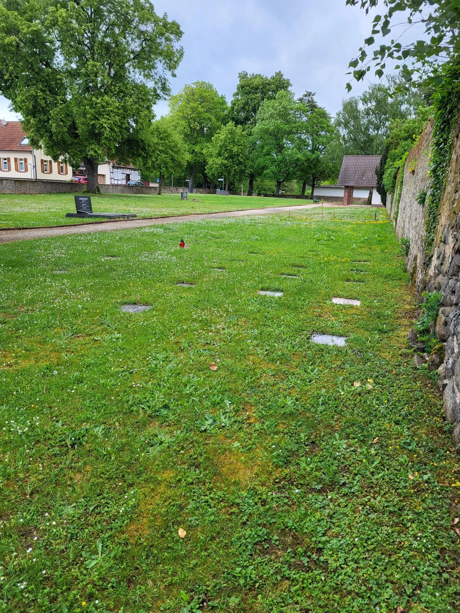 Ein grüner Park mit Bäumen, Wegen und einer Steinmauer auf der rechten Seite.