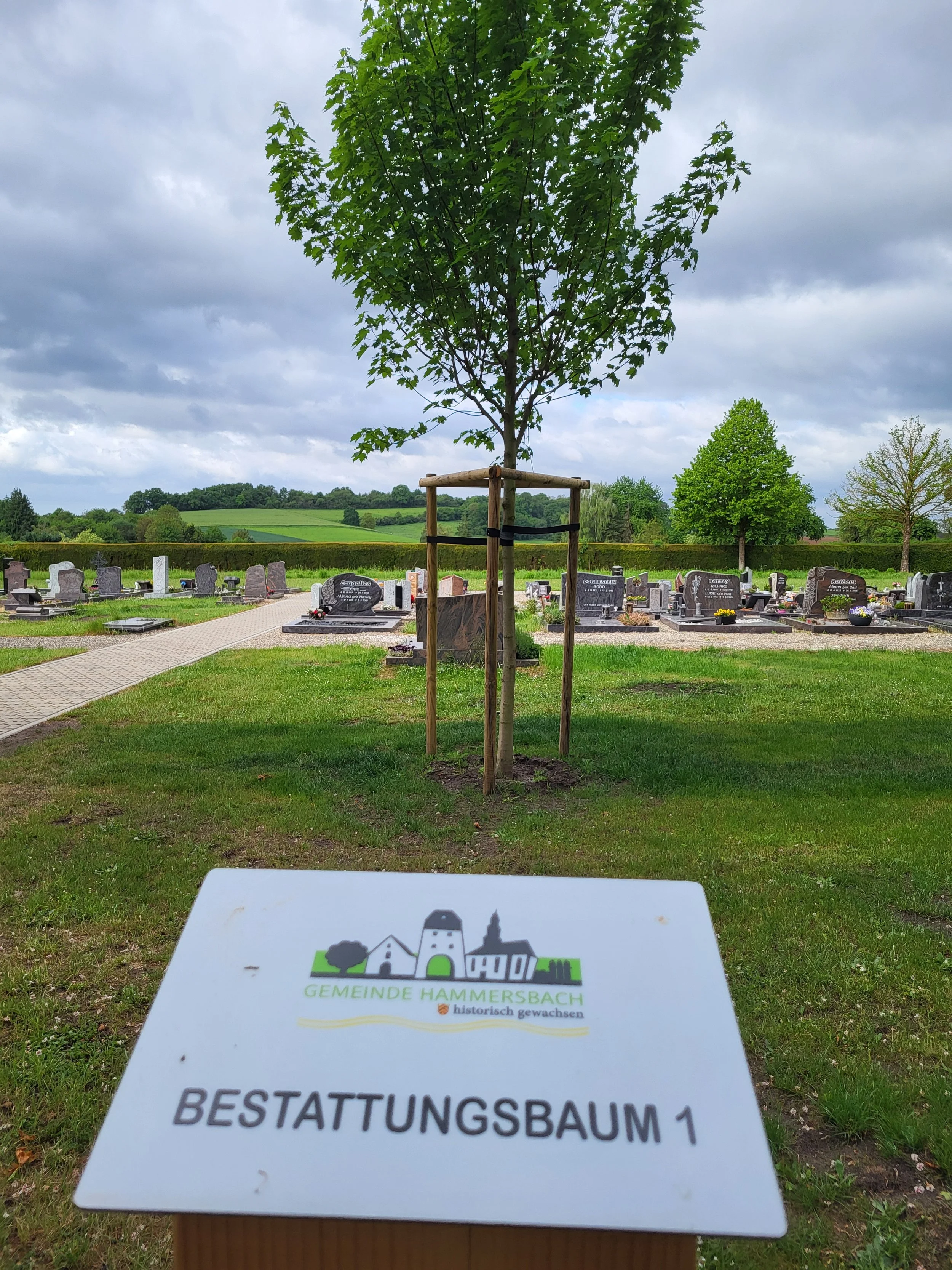 Ein Friedhof mit Grabsteinen, ein Baum im Zentrum, bewölkter Himmel, grüner Landschaft im Hintergrund, und ein Schild mit dem Logo der Gemeinde Hammersbach.