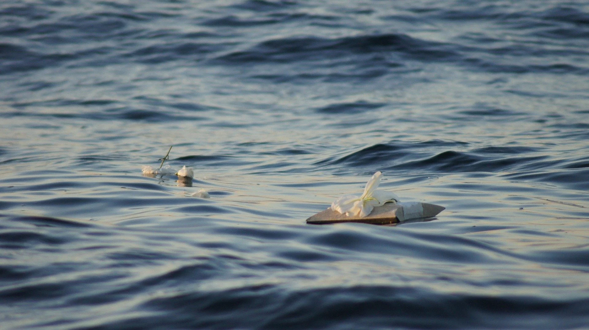 mhluck-water-funeral-6484124_1920.jpg