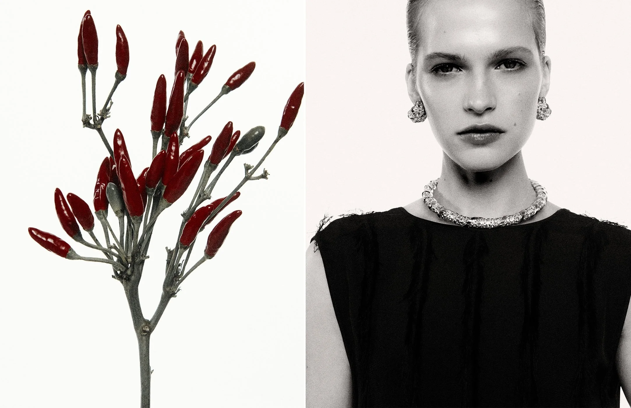 lanvin-holiday-2022-ad-campaign-the-impression-012-copy-2.jpeg