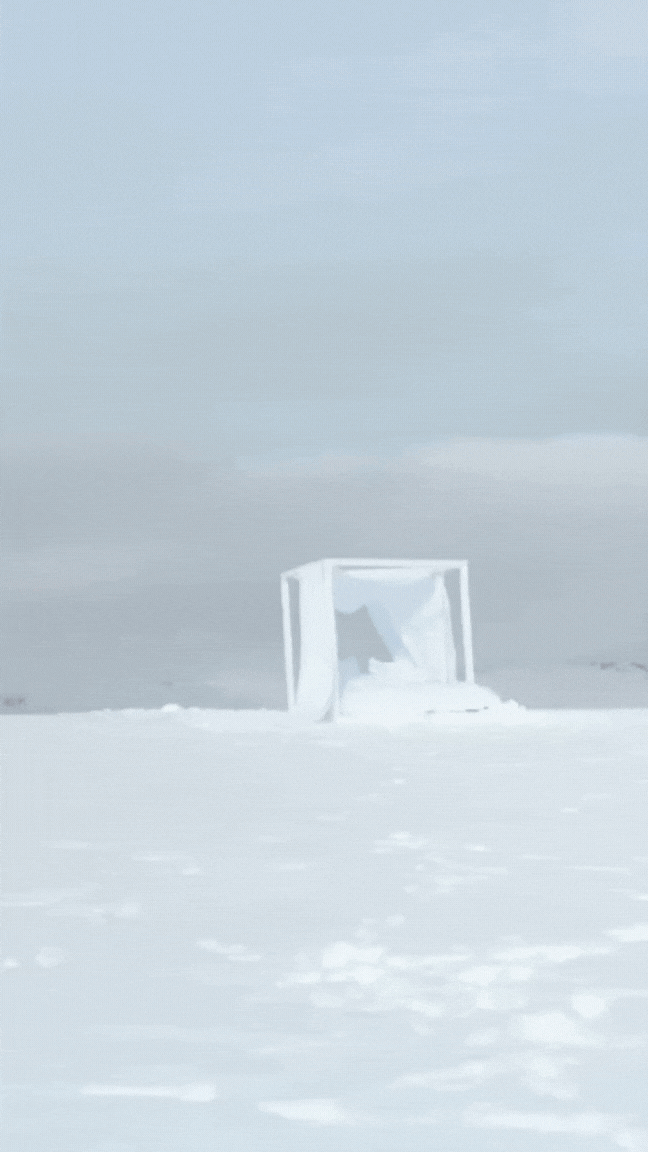 Director: Drue Bisley / Artistic Direction: Vasilisa Ganakova