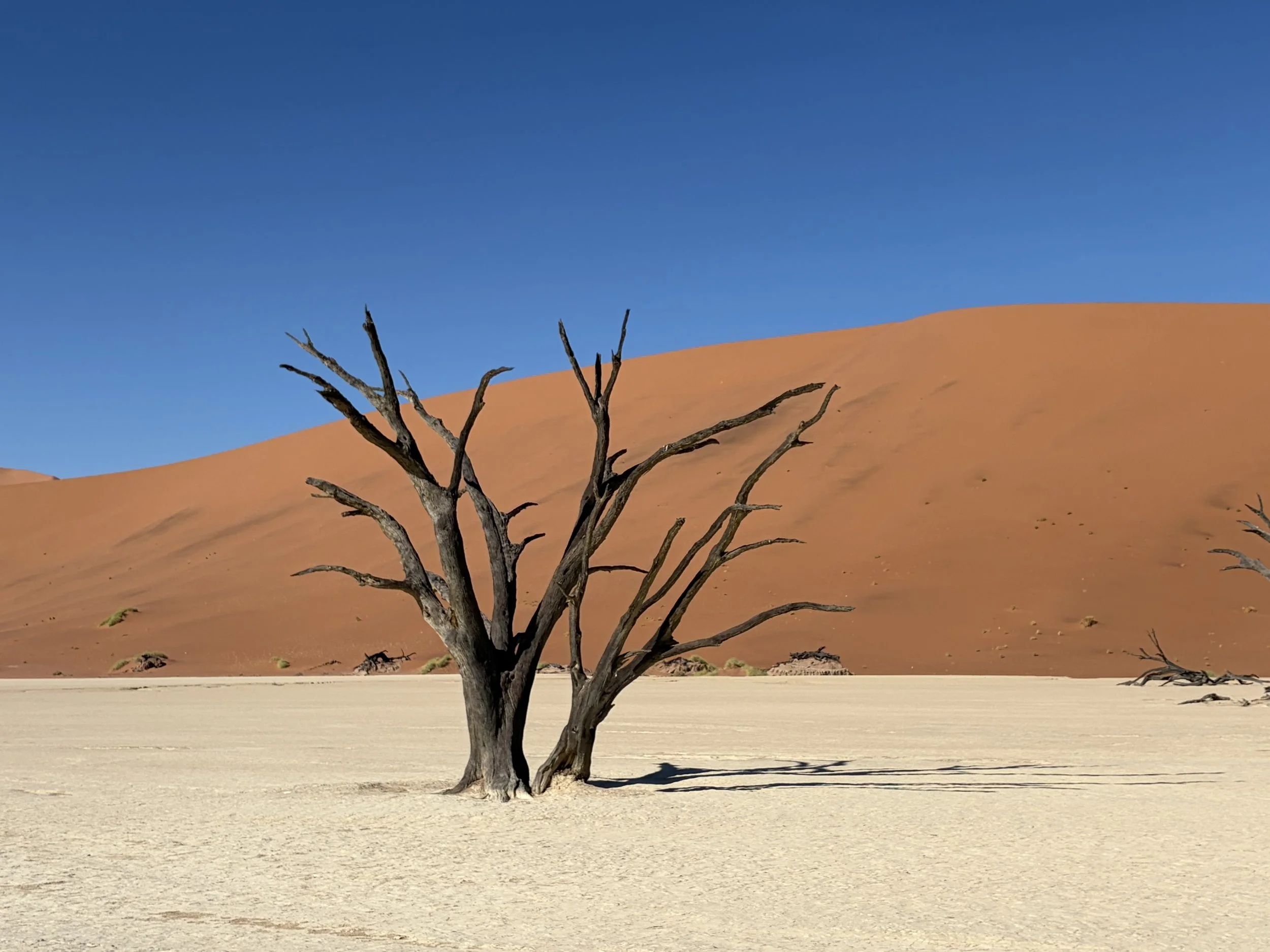 Red Deserts &amp; Rare Luxury: A Bespoke Namibia Itinerary &amp; Travel Planning Guide