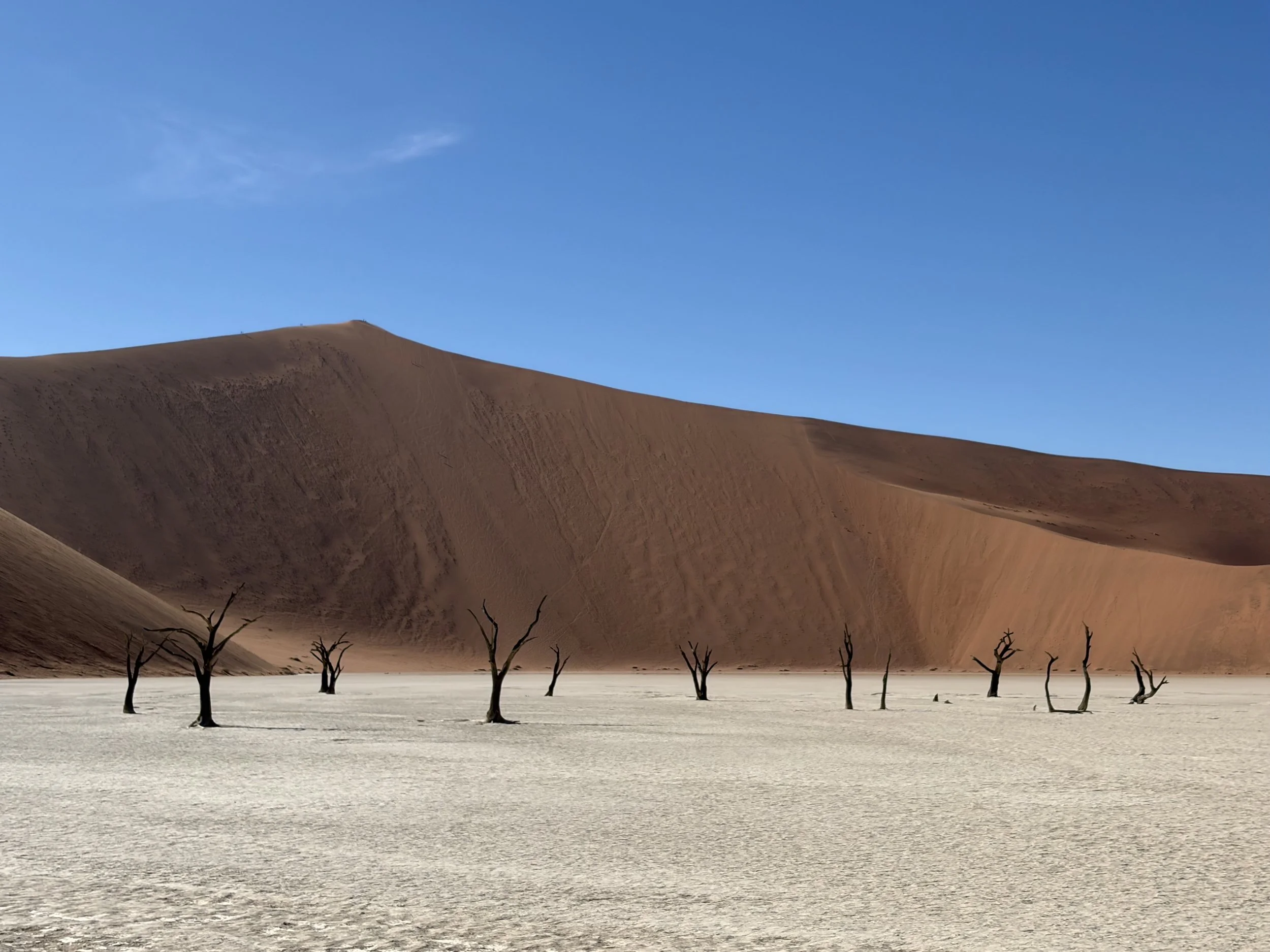 Sossusvlei Deadvlei Namib Dessert Famous Trees