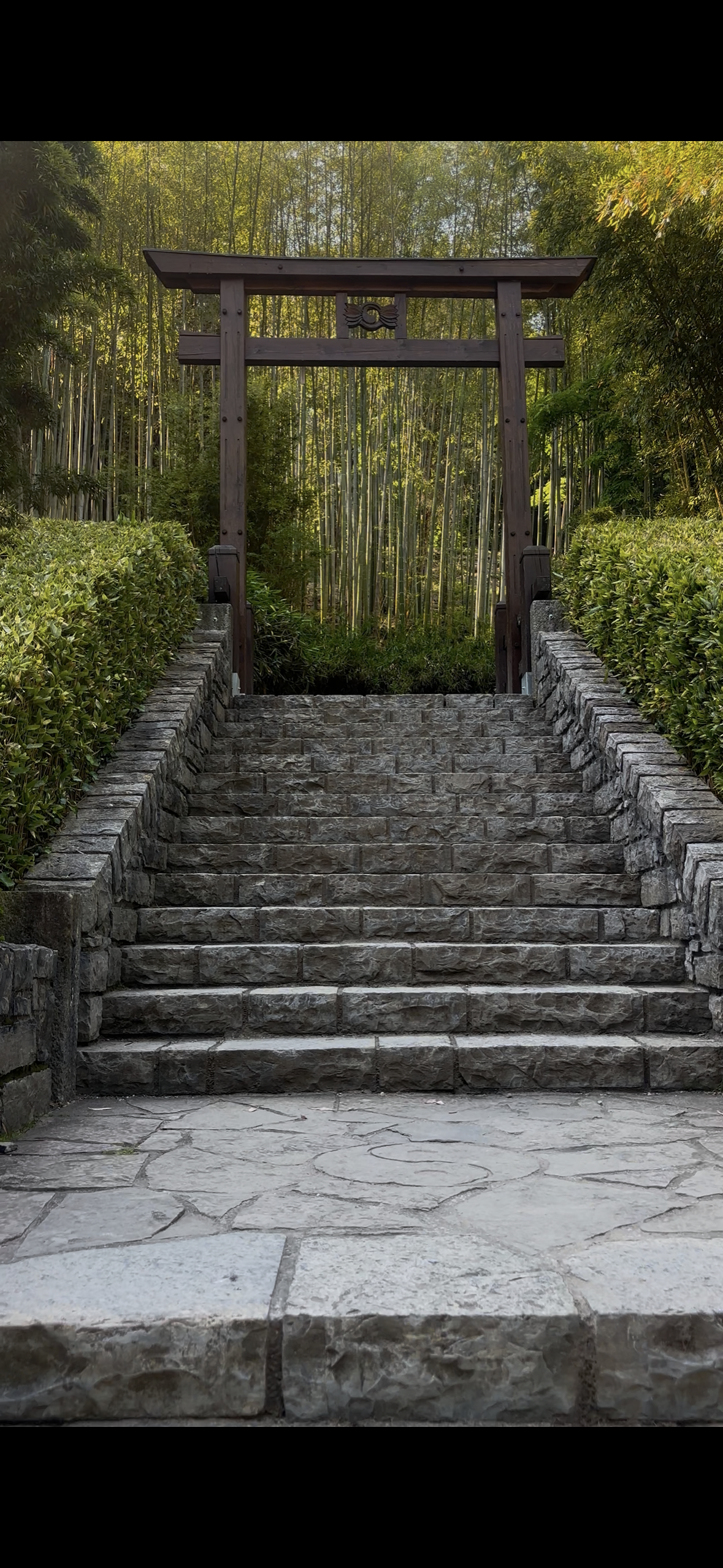 Stone stairs and vibrant blooming flowers in the hillside botanical gardens of Villa Carlotta overlooking Lake Como.