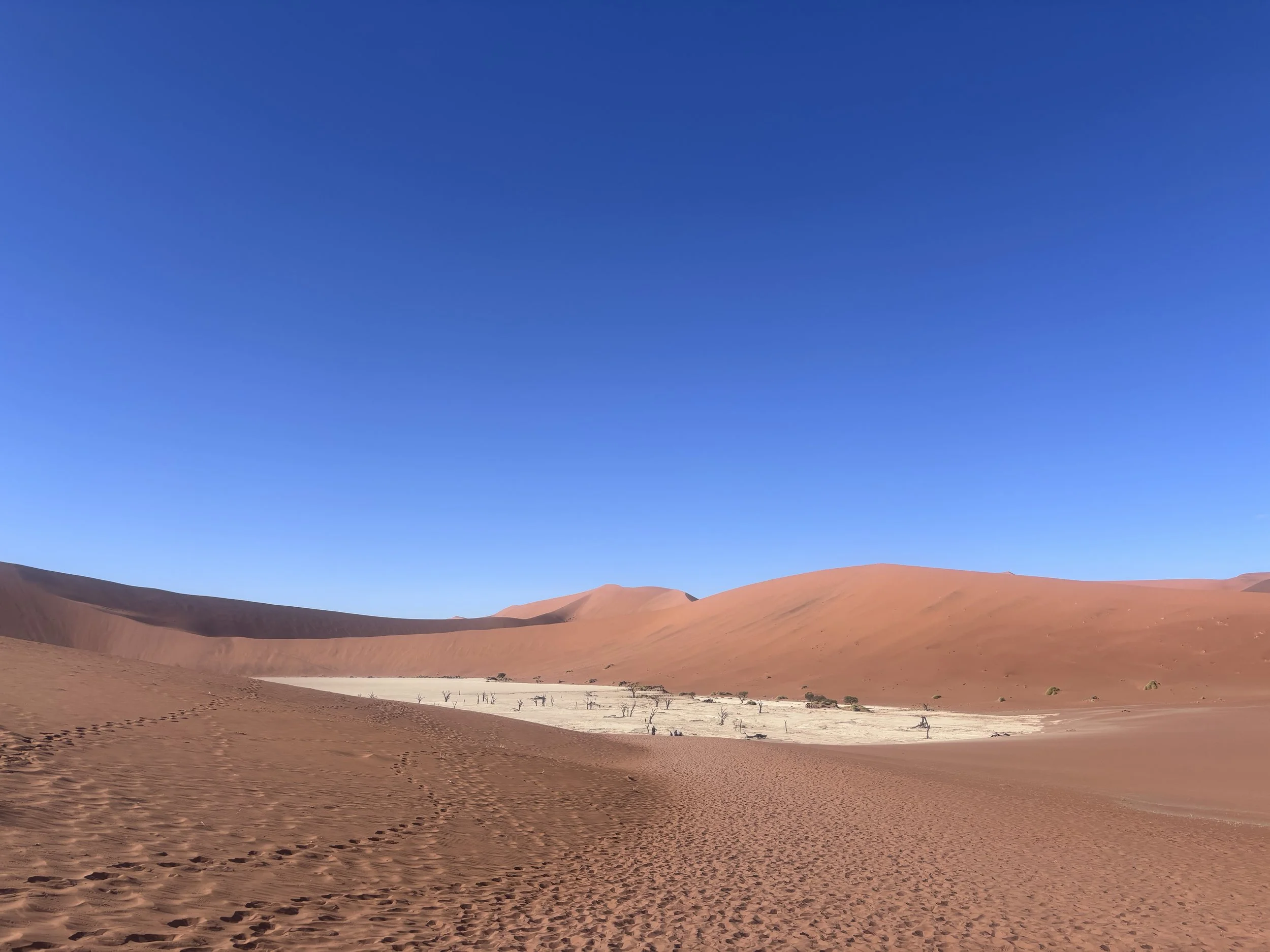 Sossusvlei Deadvlei Namib Dessert Famous Trees