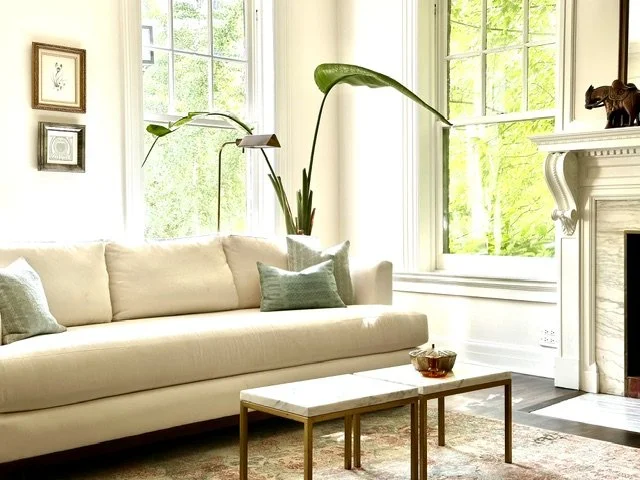 vintage condo living room