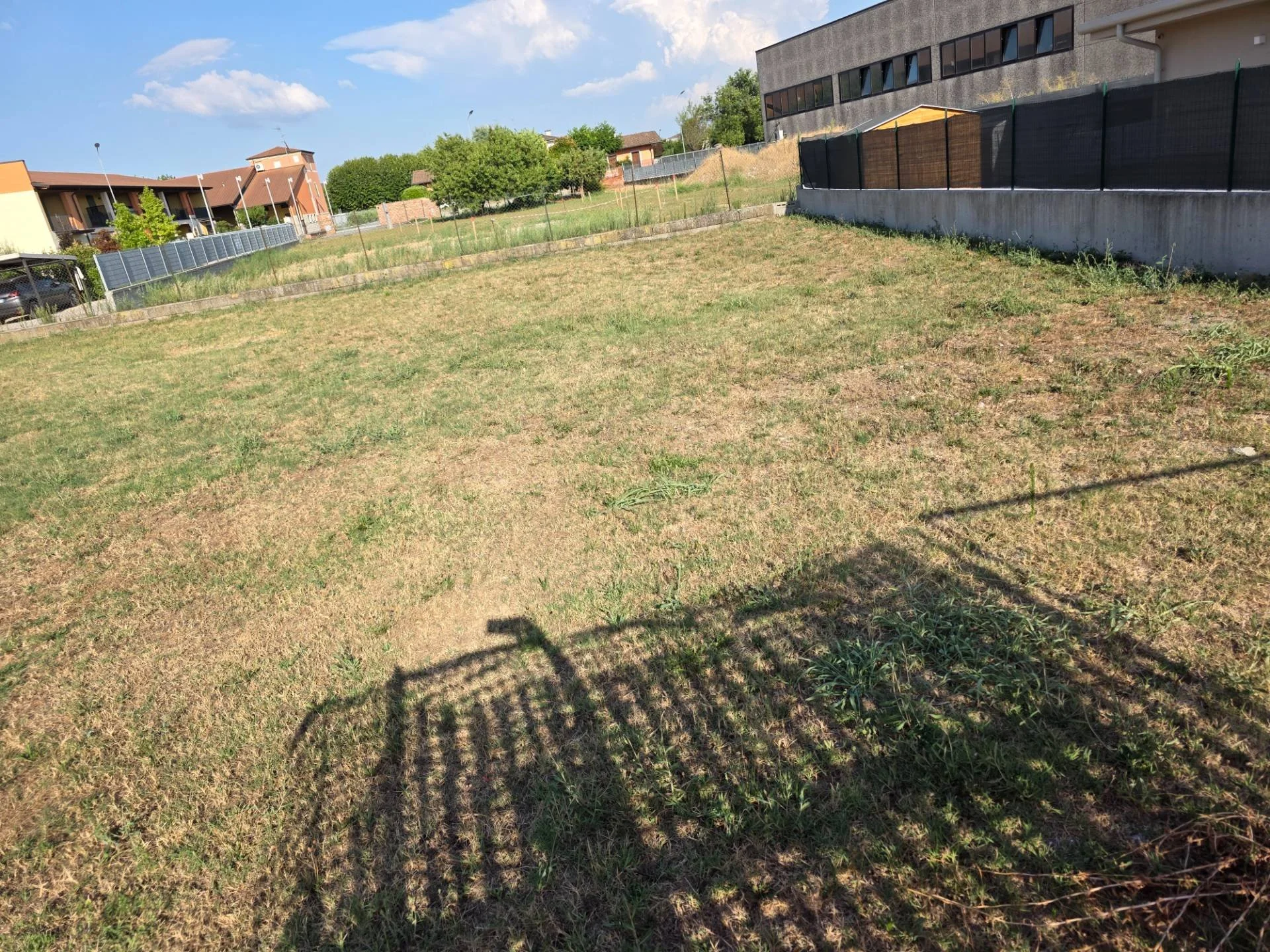 2025_07_2025072285356-969399-7.jpg