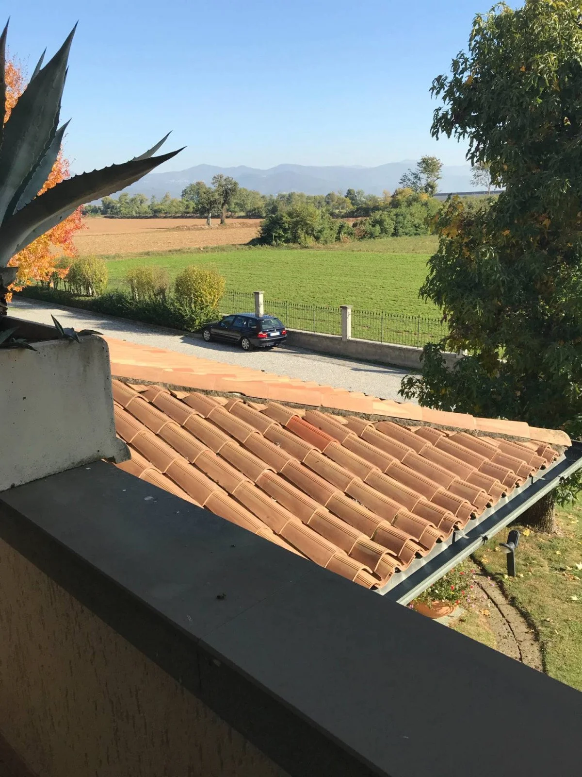 2026_01_20260112170405-1016233-12.jpg