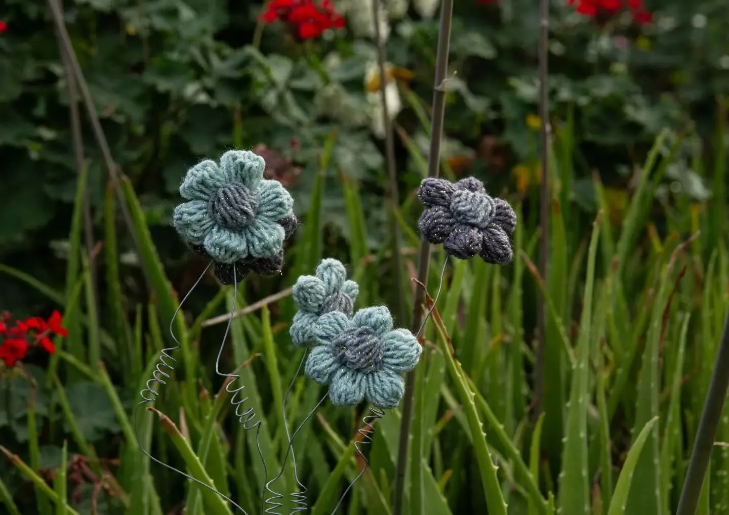 Stoked to share that my photo, 'This is not AI: flowers by @anna.moeba ', is part of #Digitisation , an exhibition opening tomorrow night at @lapunyahartgallerychinchilla 📷🎨📷

Unfortunately, I won't make it, but I can't wait to check it out! Congr