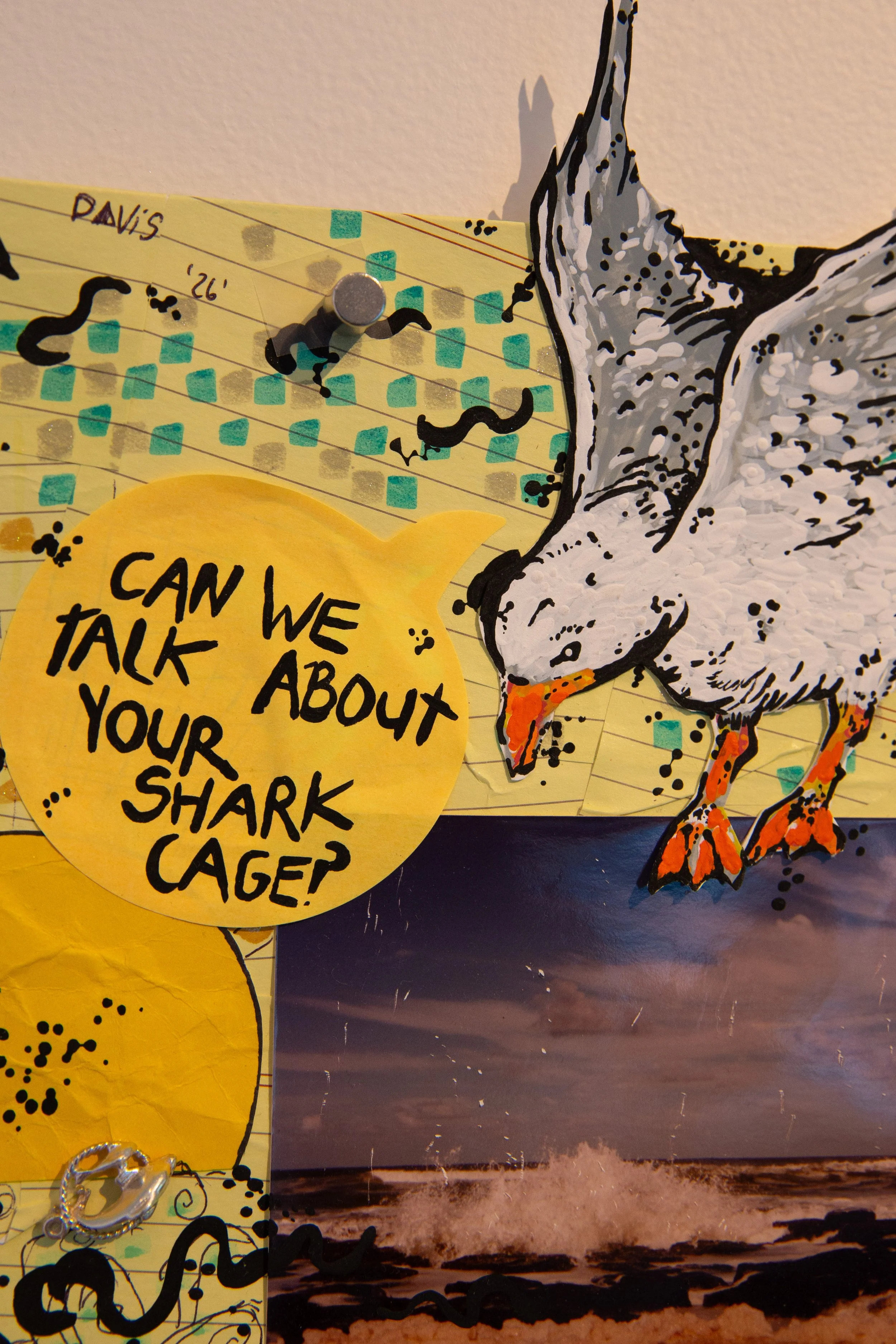 Shark01.jpg