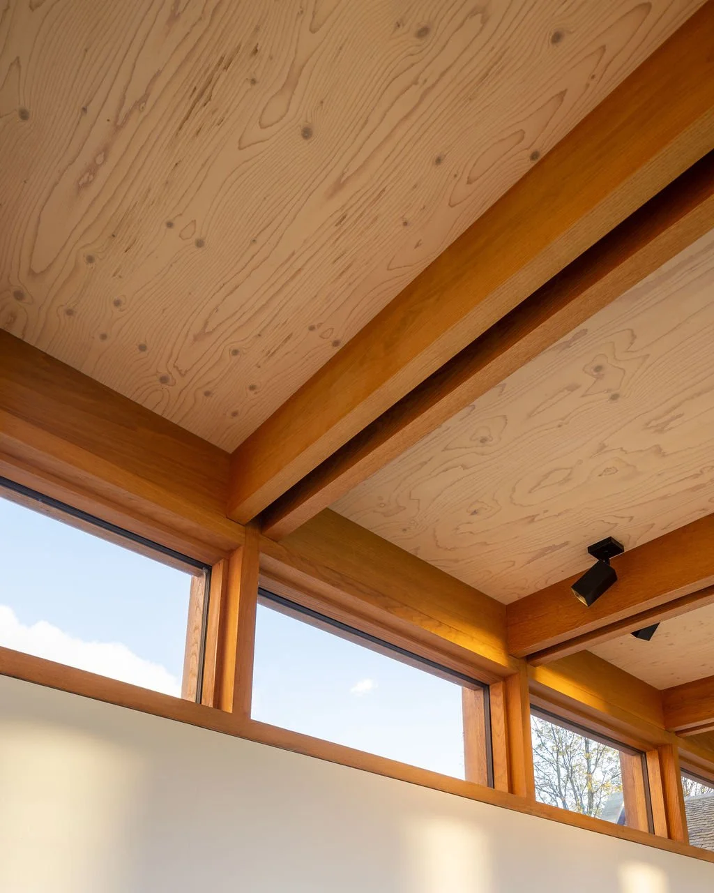 Zollinger_Roof_House_Wiltshire_Roof_Joinery.jpg