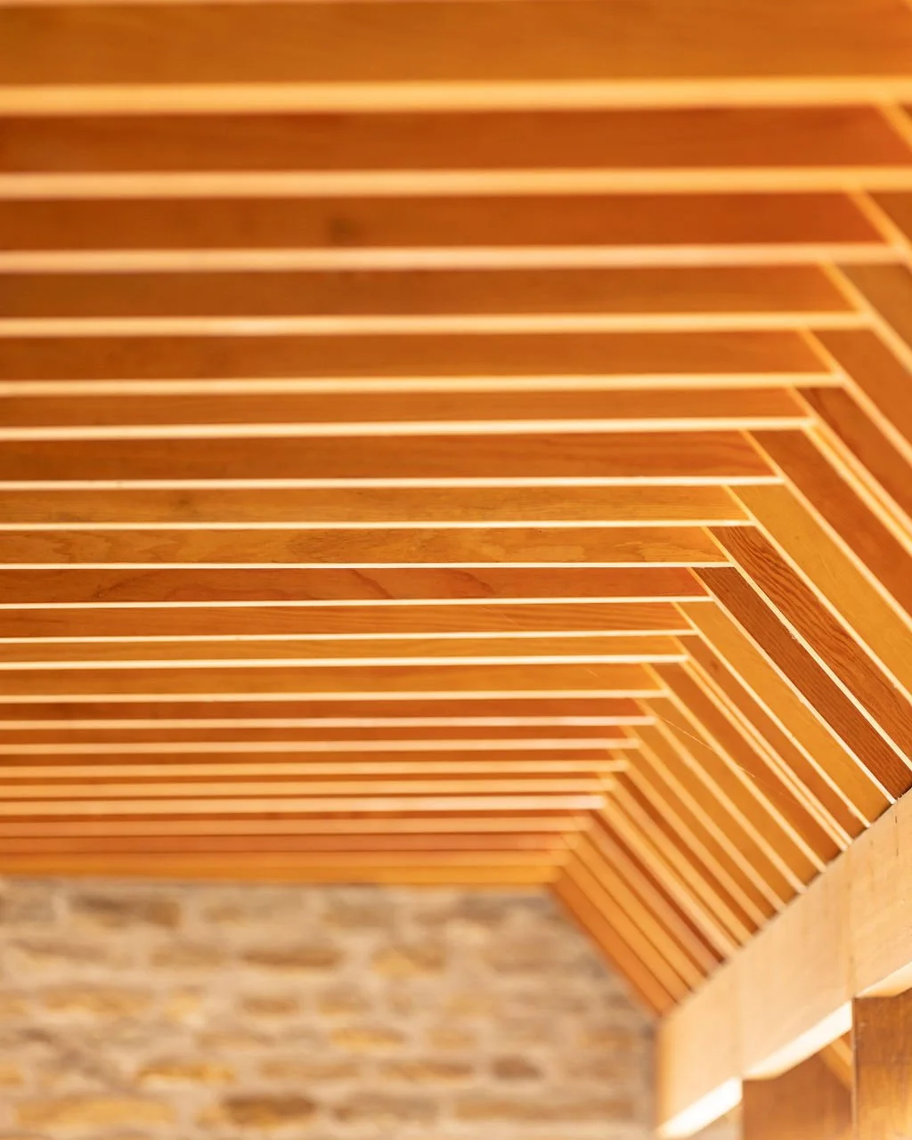 Zollinger_Roof_House_Wiltshire_Roof_Detail.jpg