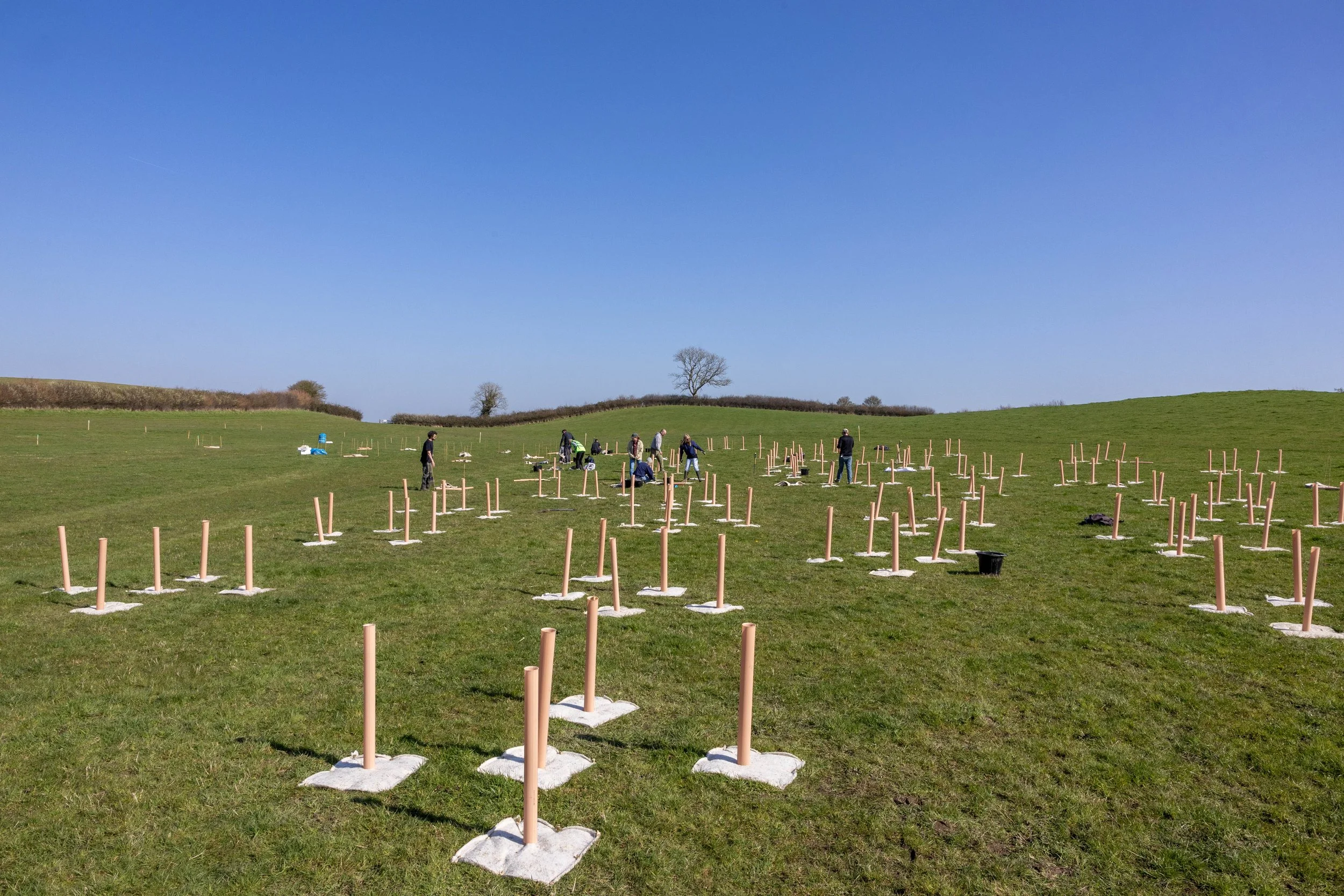 Bath_Bespoke_Tree_Planting_4.jpg