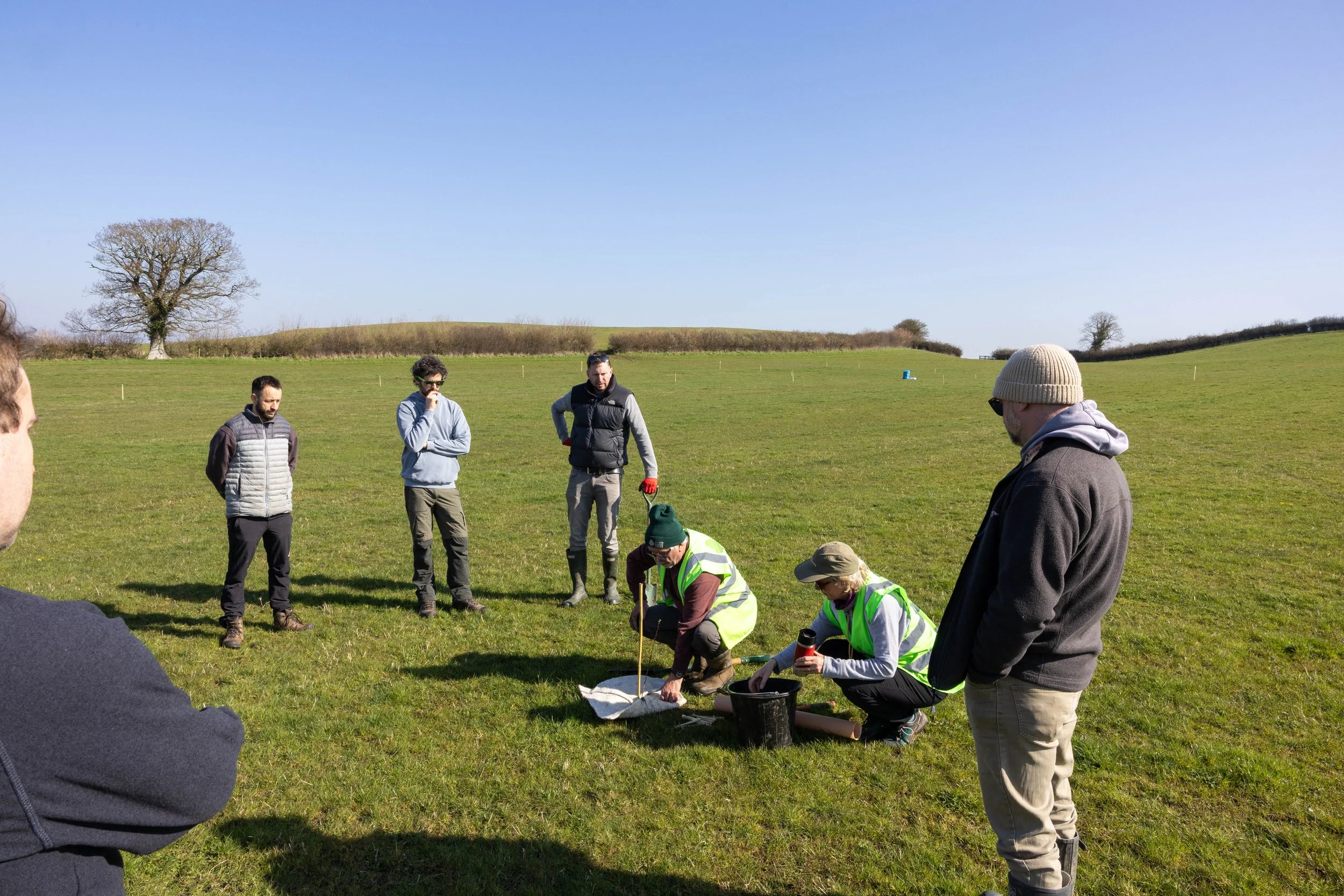 Bath_Bespoke_Tree_Planting_2.jpg