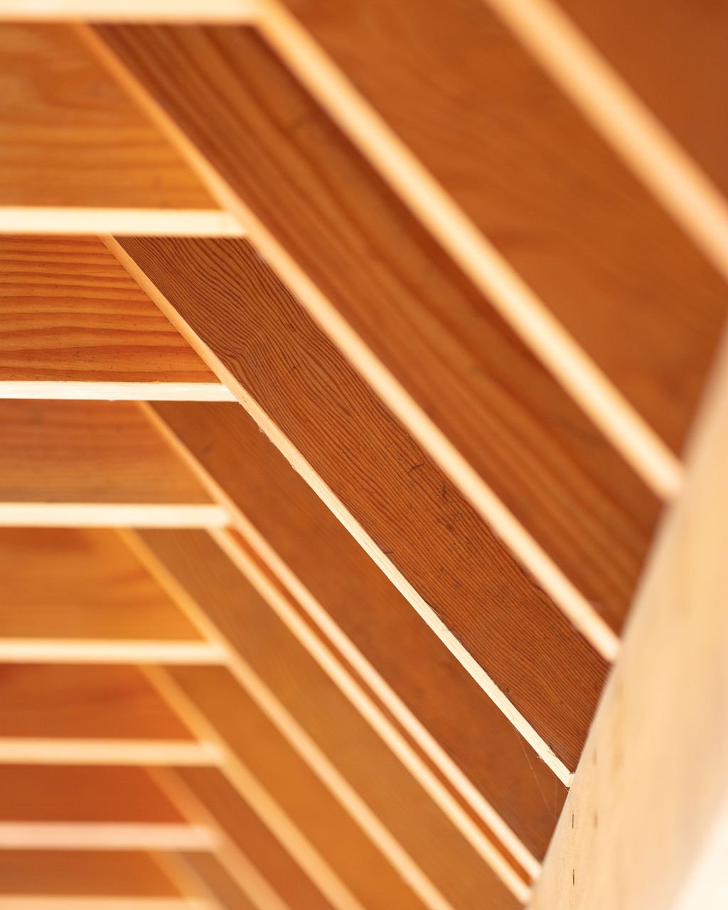 Zollinger_Roof_House_Wiltshire_Roof_Detail_2.jpg