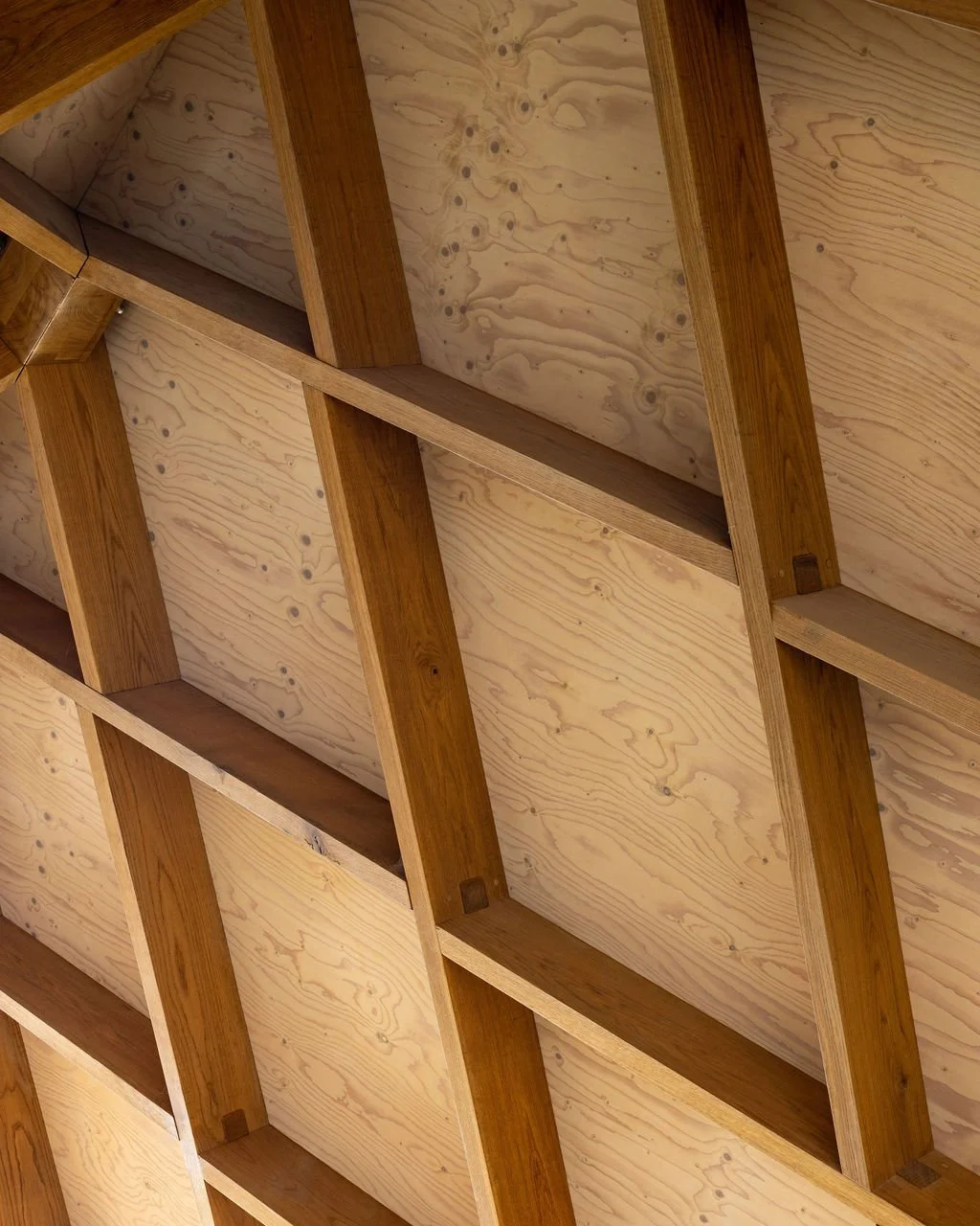 Zollinger_Roof_House_Wiltshire_Zollinger_Roof_Detail.jpg