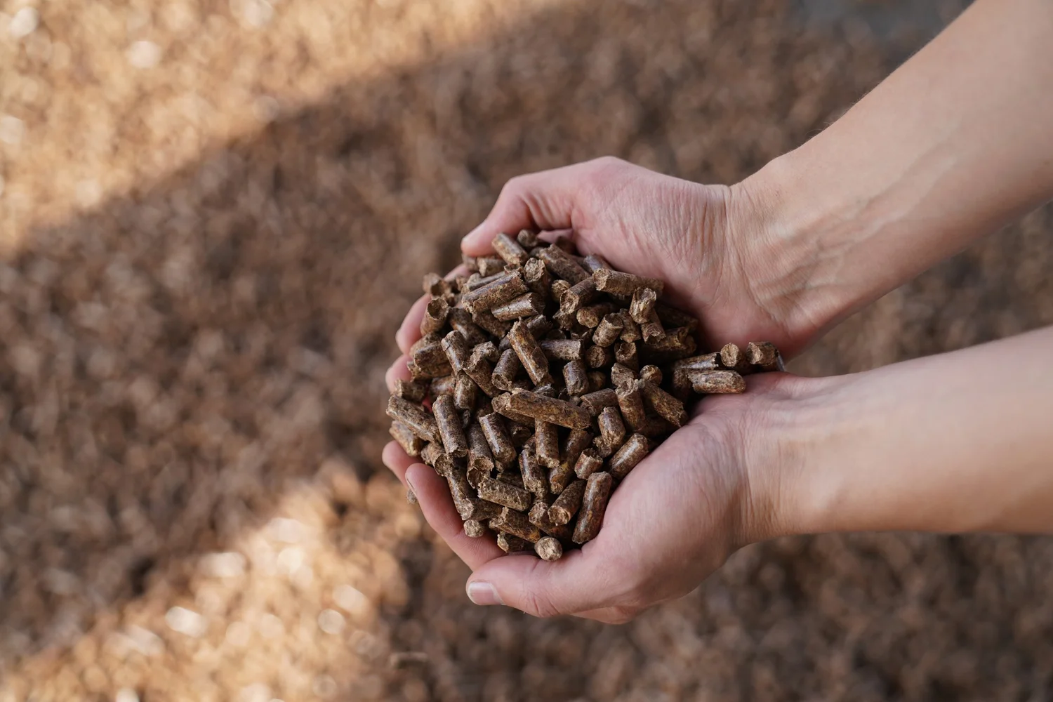 Hands holding wood pellets