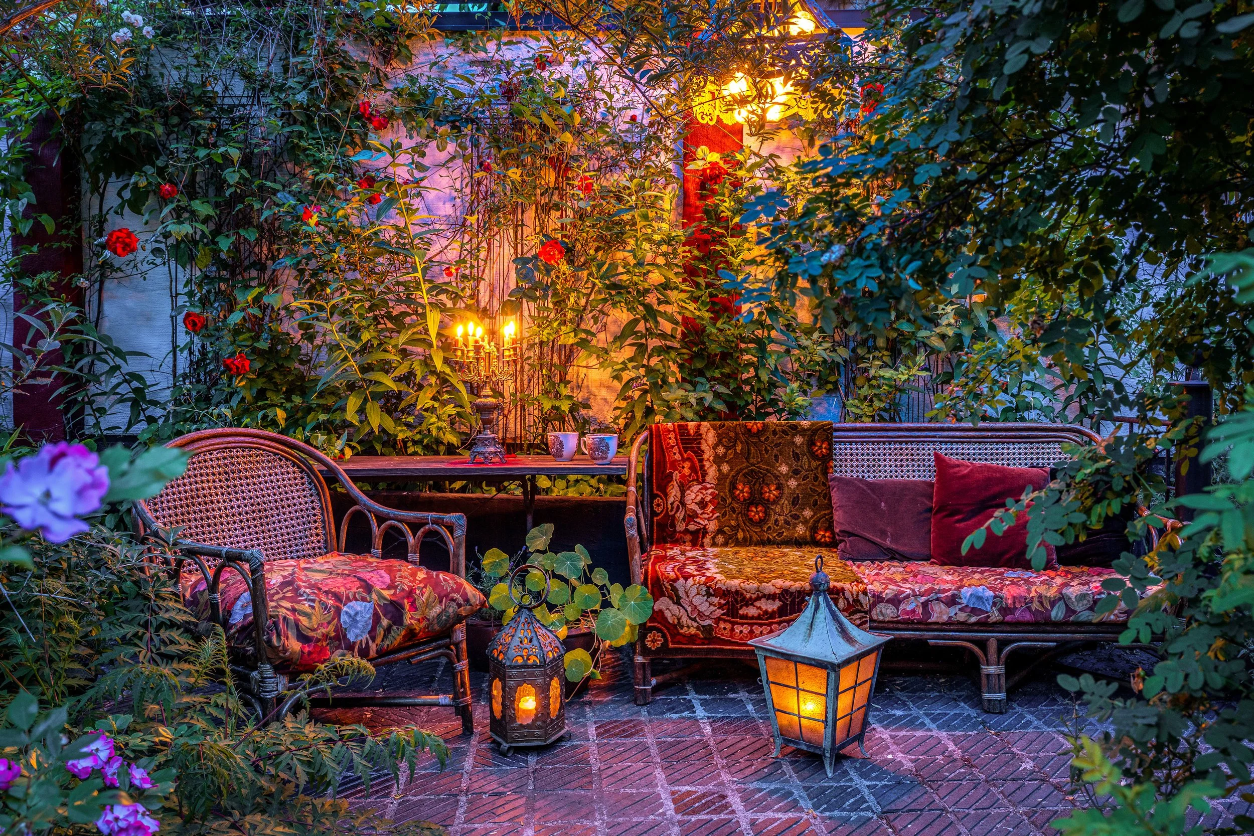 Garden in evening light.jpg