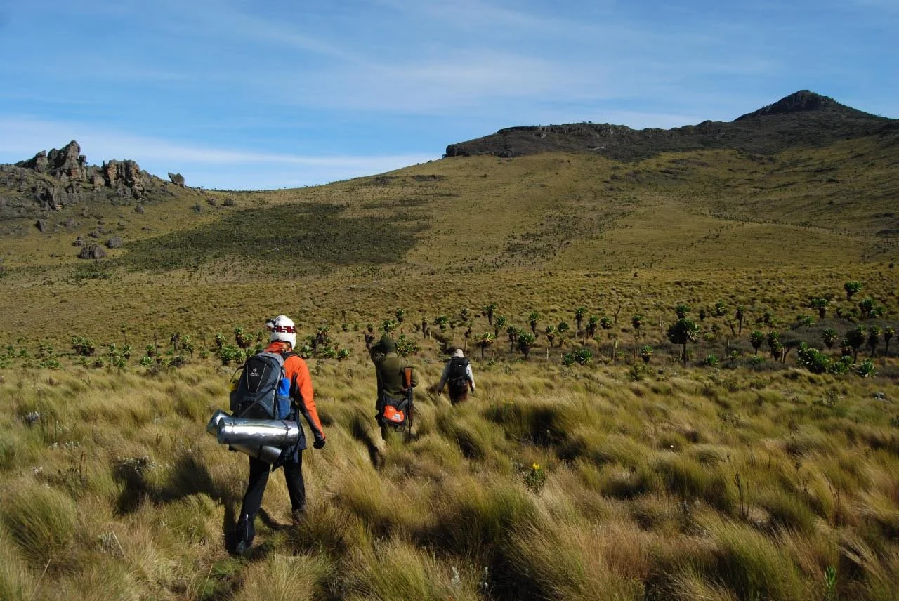 Three hikers walking through a grassy field towards distant hills, some with backpacks and gear, in a mountainous landscape with a blue sky.