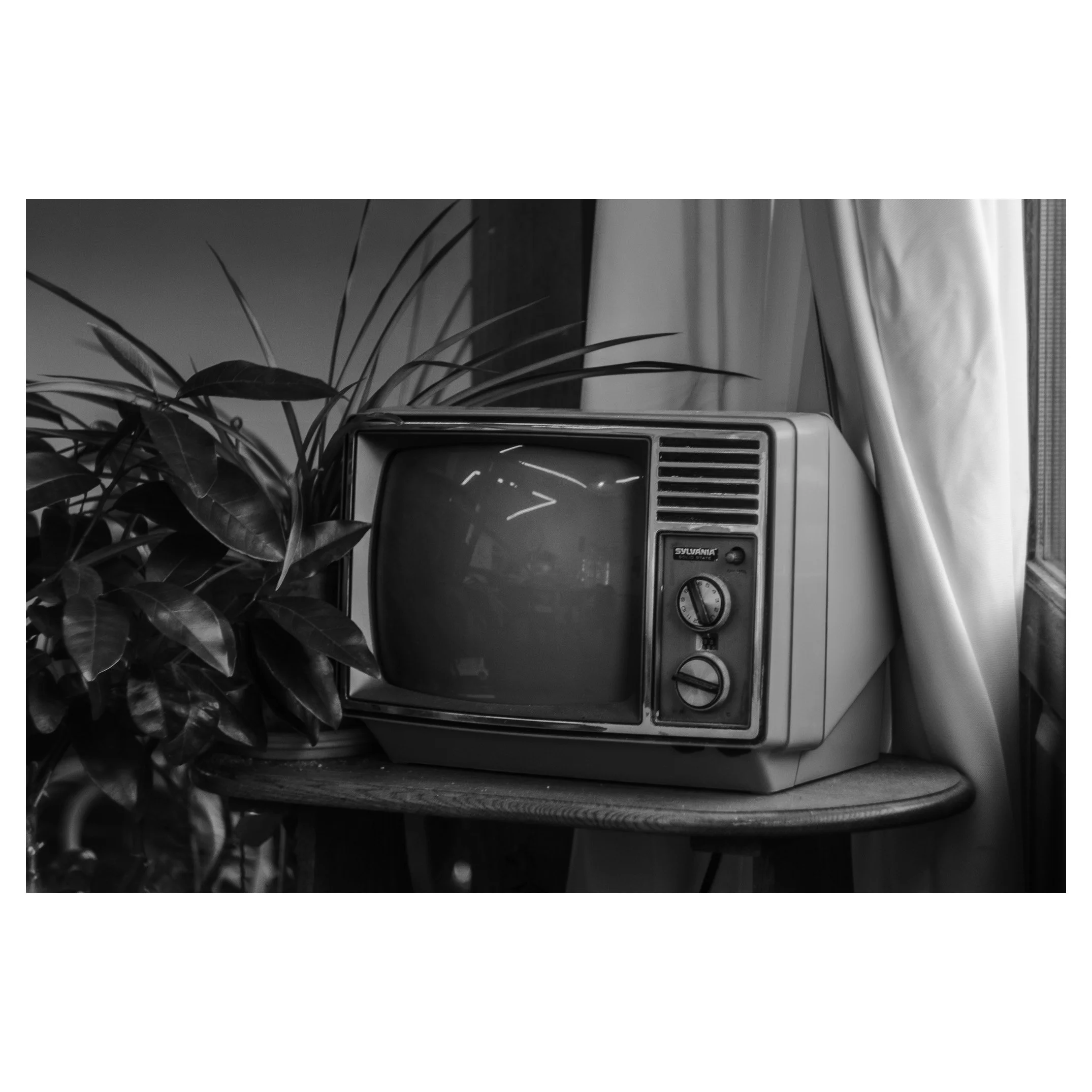 Black and white photo of an old vintage television set on a wooden surface next to a leafy houseplant and curtains.