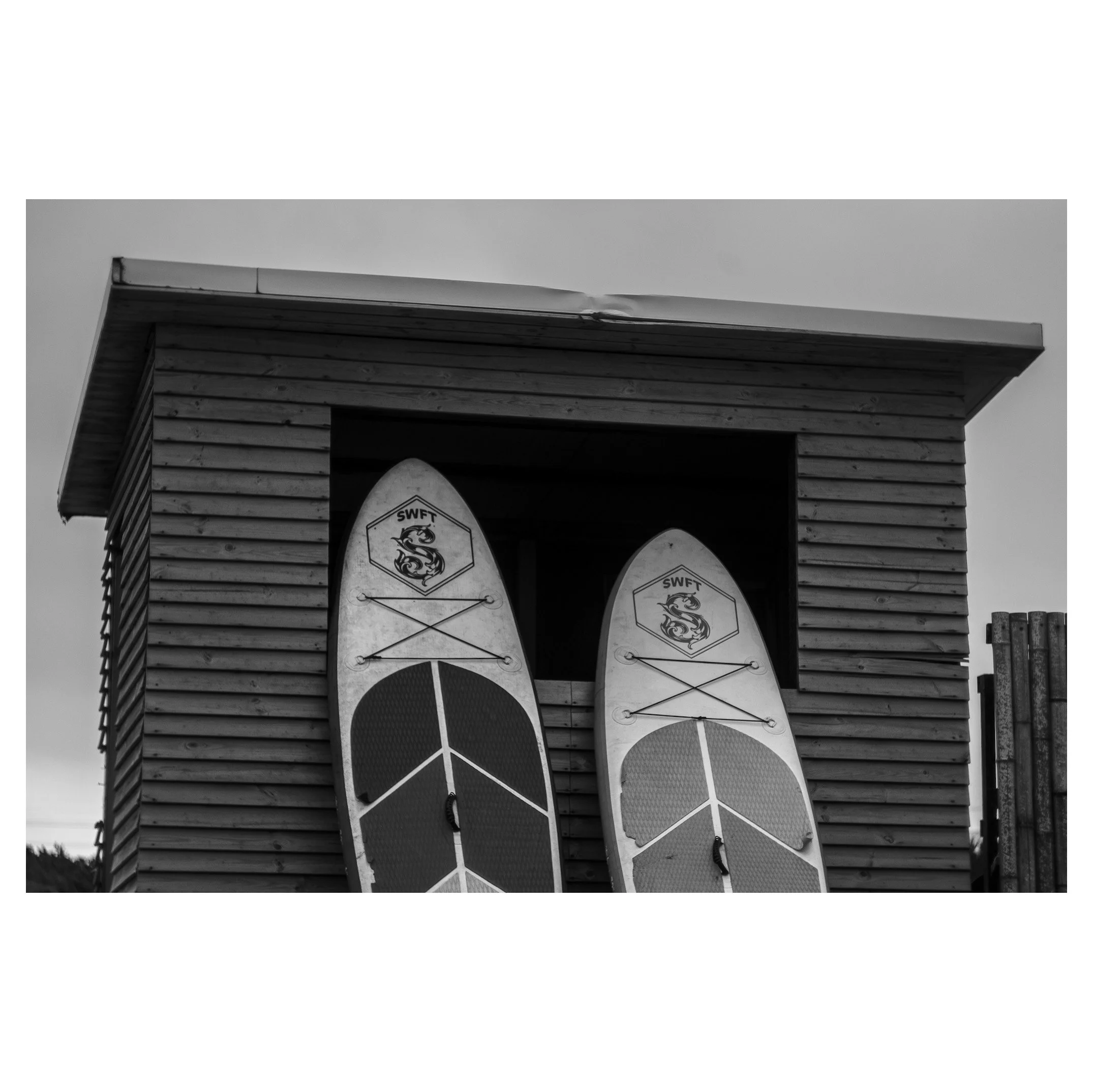 Two paddleboards with SWFT logos leaning against a wooden shed.