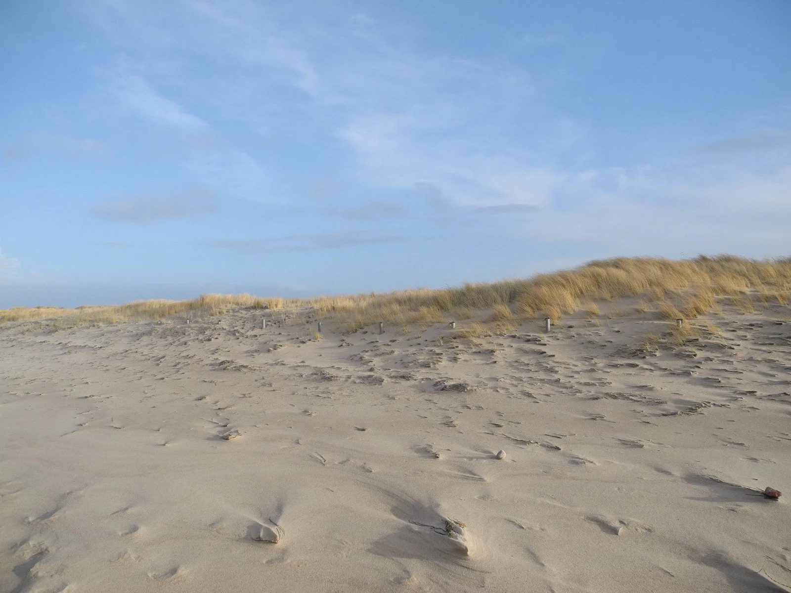 Dünenlandschaft-Sand-Strandhafer-blauer-himmel-ostsee
