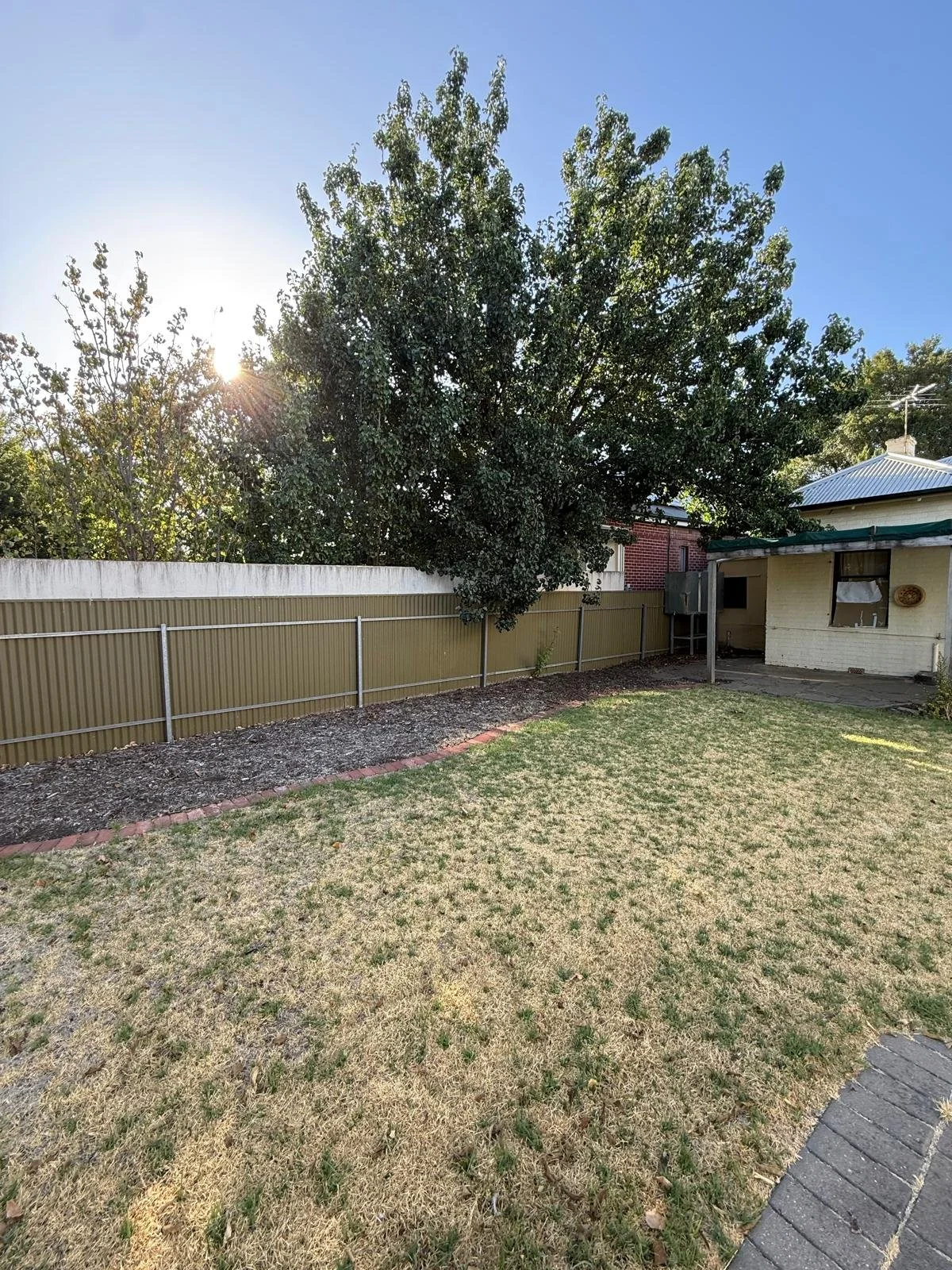 Image of the old back garden at Carter St