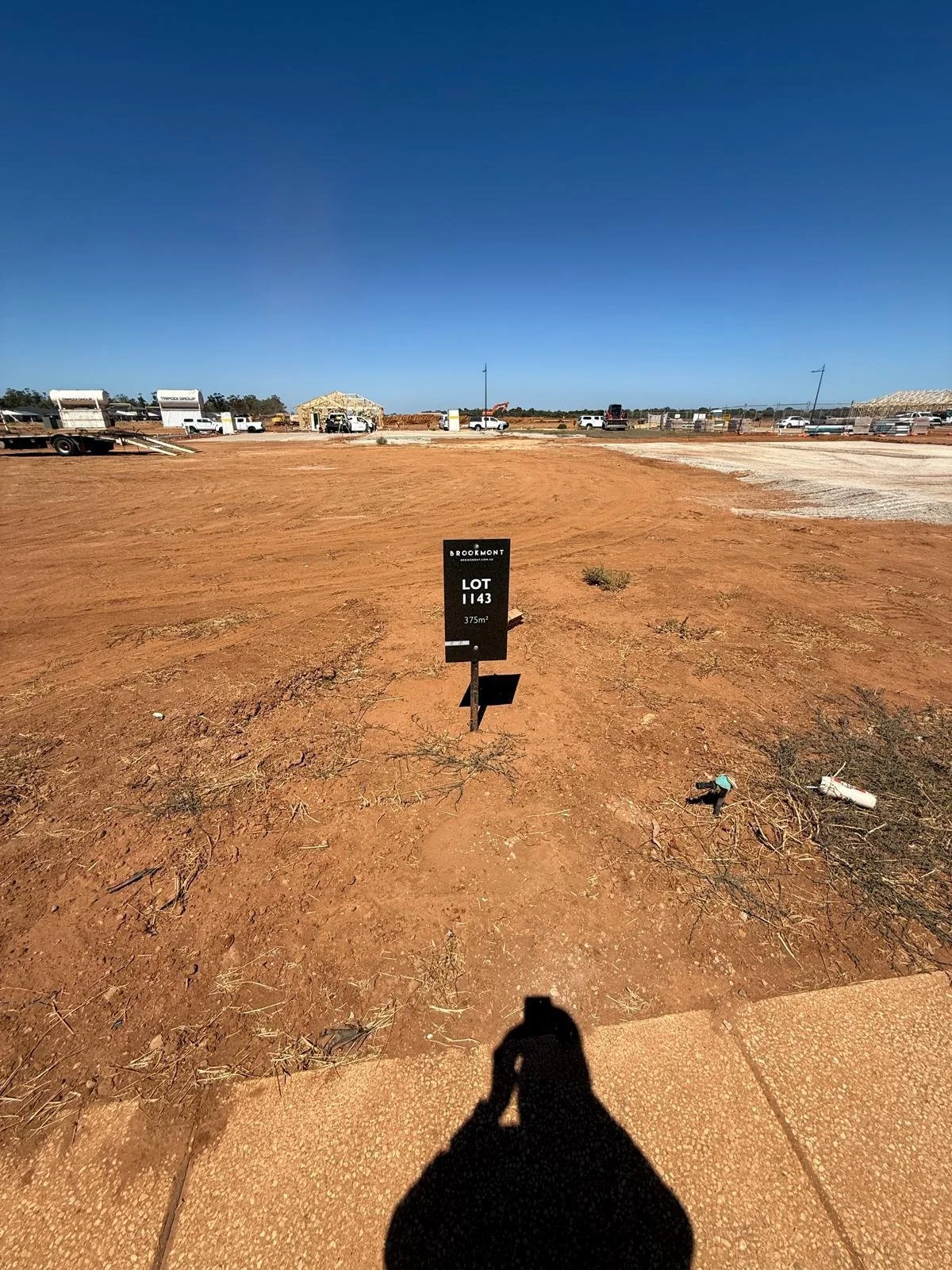 Photo of the empty lot at Pittosporum Ave
