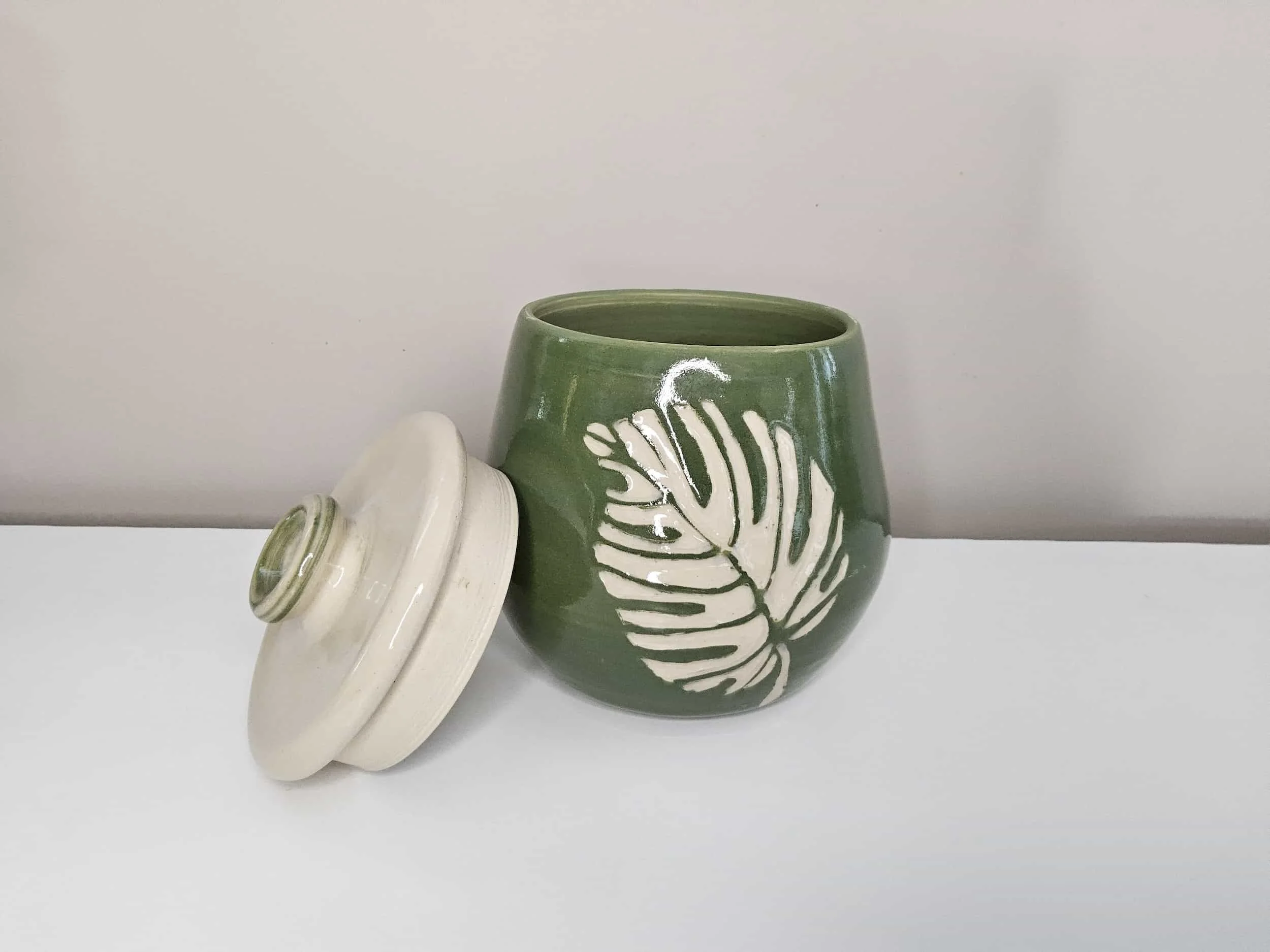 Boîte Monstera