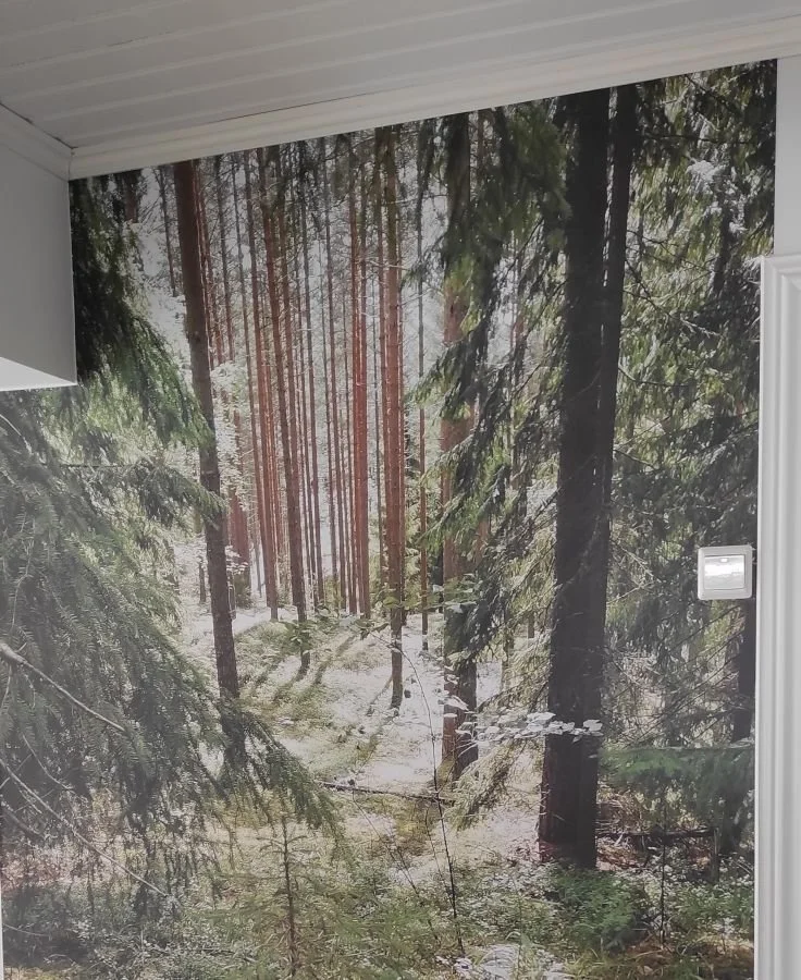 valokuvatapetti-havumetsa-seina.jpg