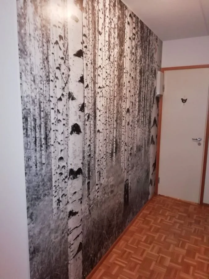 koivumetsatapetti-eteinen.jpg