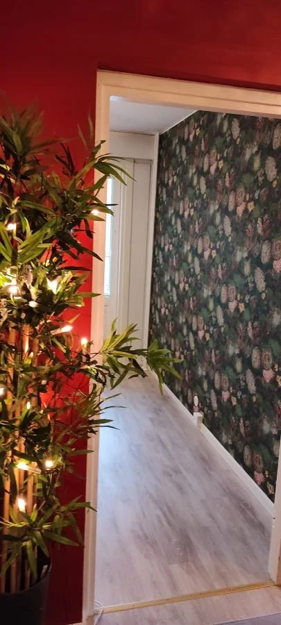 tumma-kukkatapetti-punainen-seina-pintaremontti.jpg