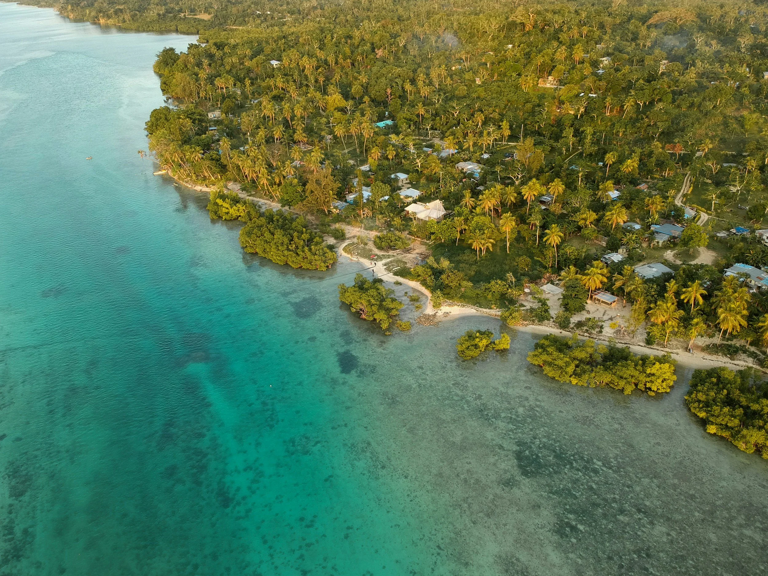Aerial view of a coastal area with turquoise water and beach, lined with palm trees and small houses in a tropical setting.
