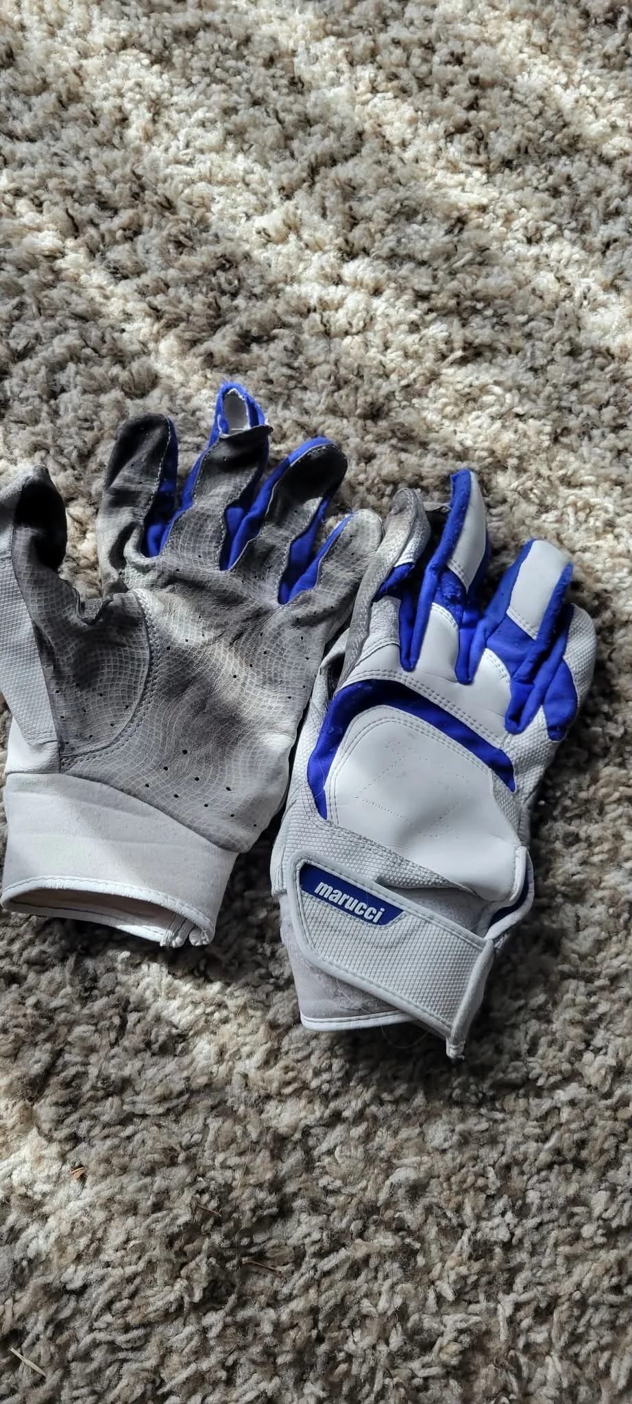 A pair of white and blue climbing gloves resting on a beige carpet.