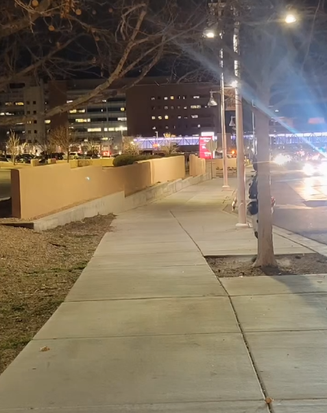 Empty sidewalk at night with streetlights, trees, and buildings in the background.