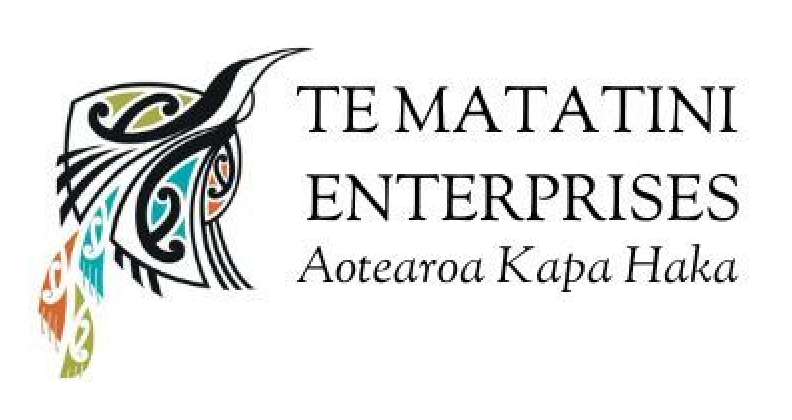 Logo for Te Matatini Enterprises with a stylized black and colorful abstract bird design, and text in English and Maori.