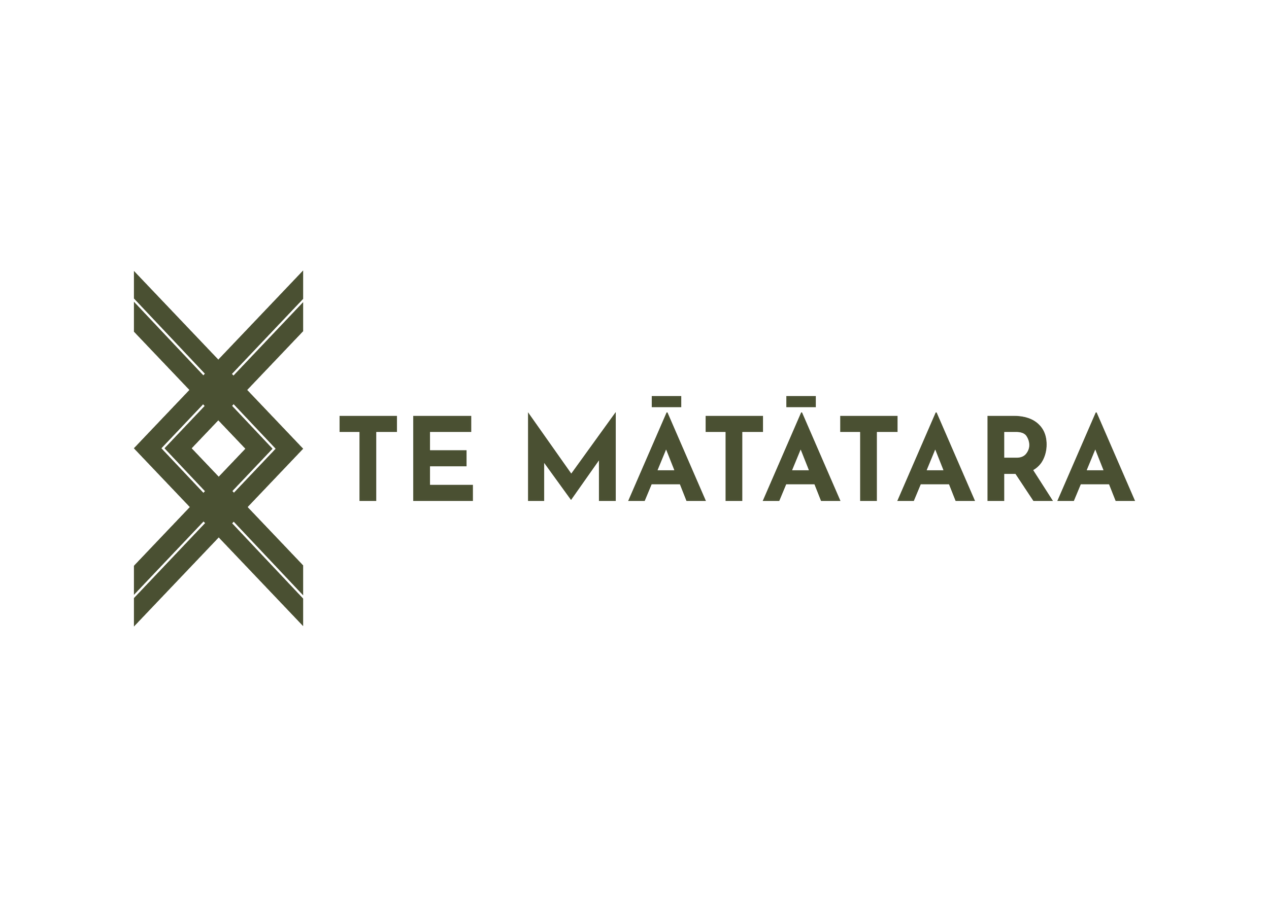 Logo with geometric symbol and the text 'TE MÄTÄTARA' in green font.