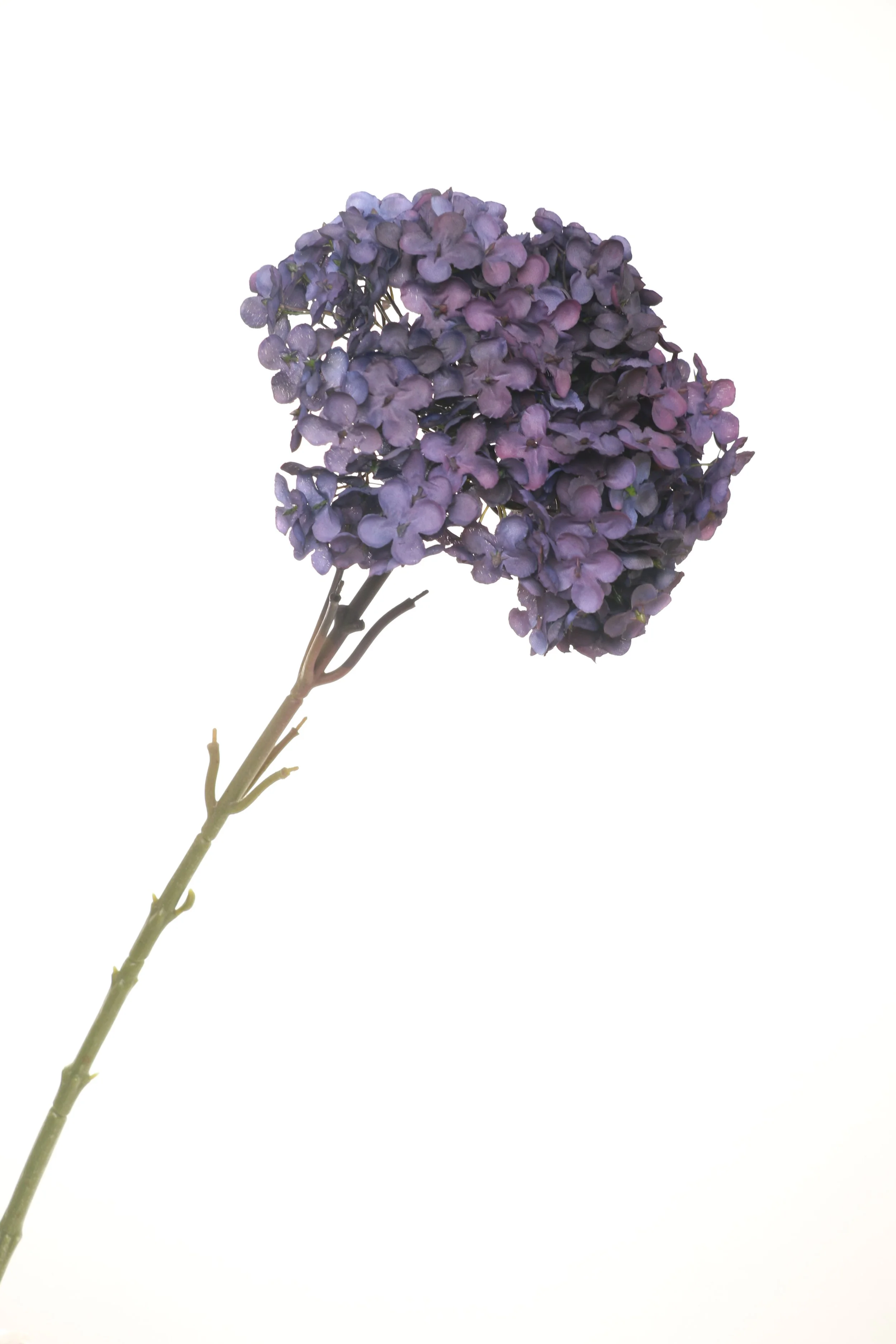 158A6195.JPG