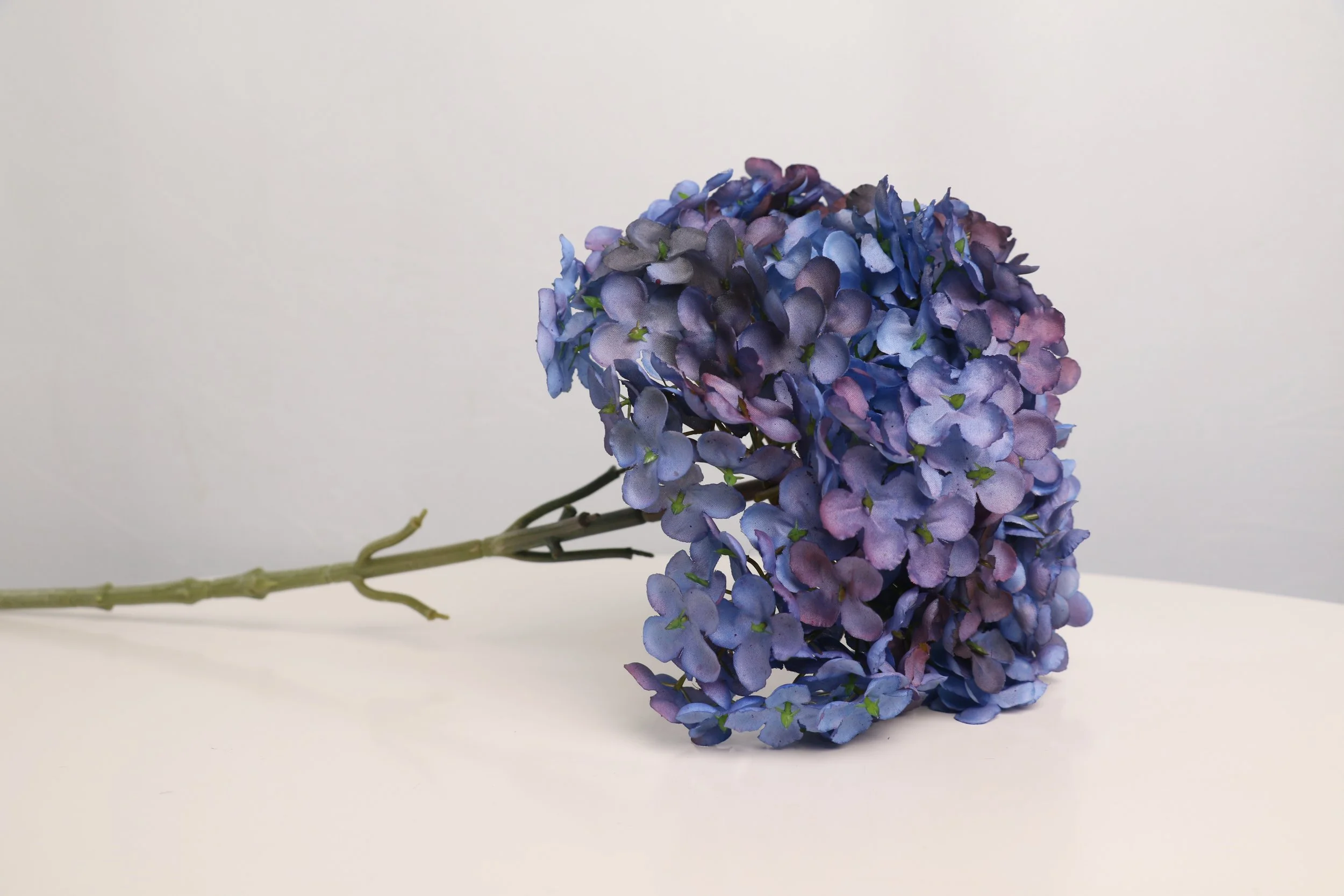 158A6148.JPG