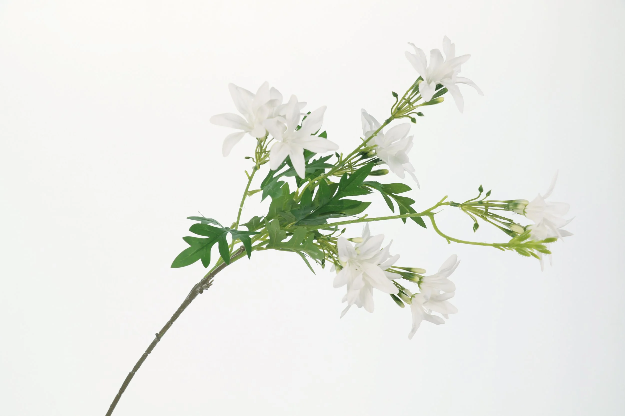 158A6440.JPG