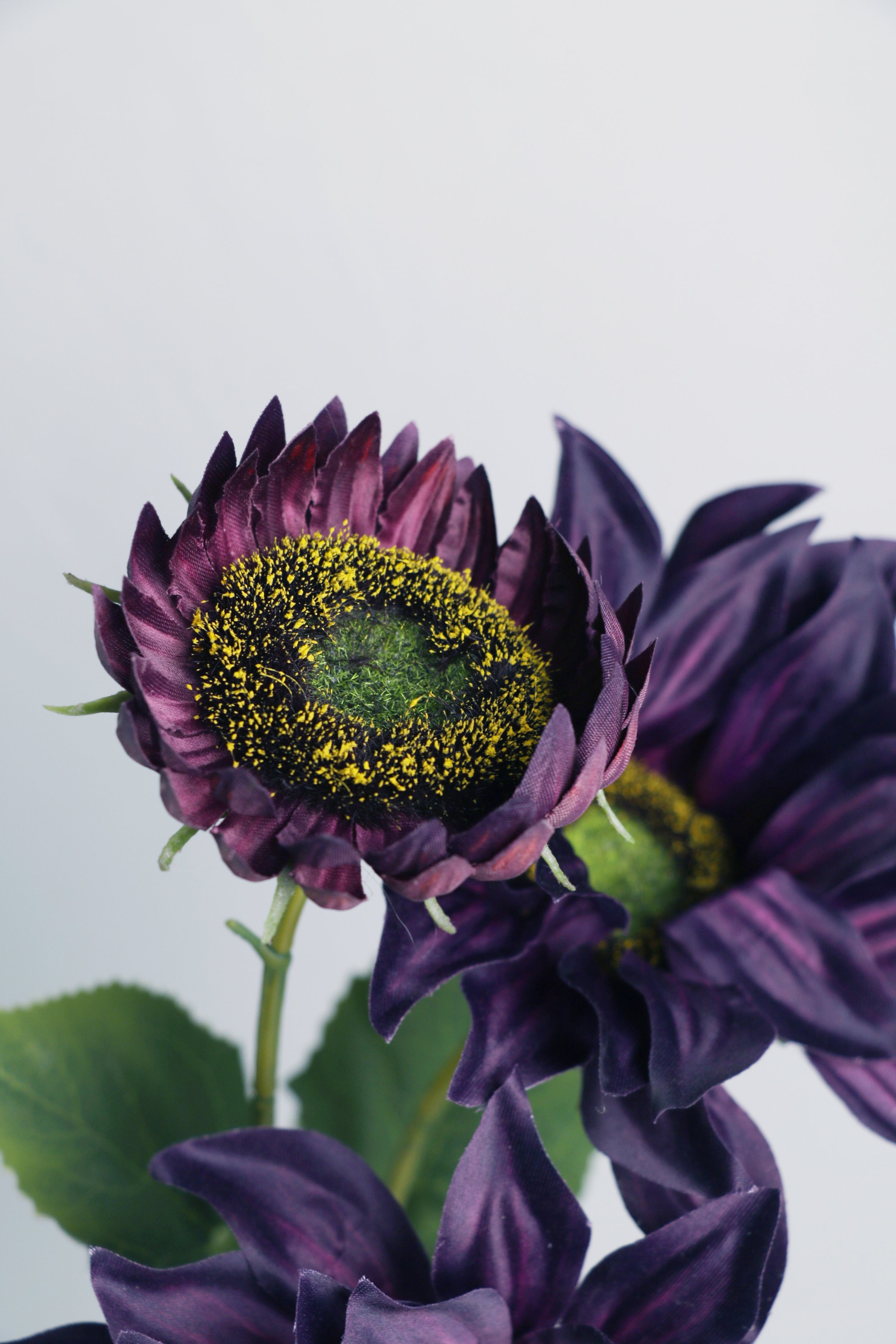 158A6166.JPG