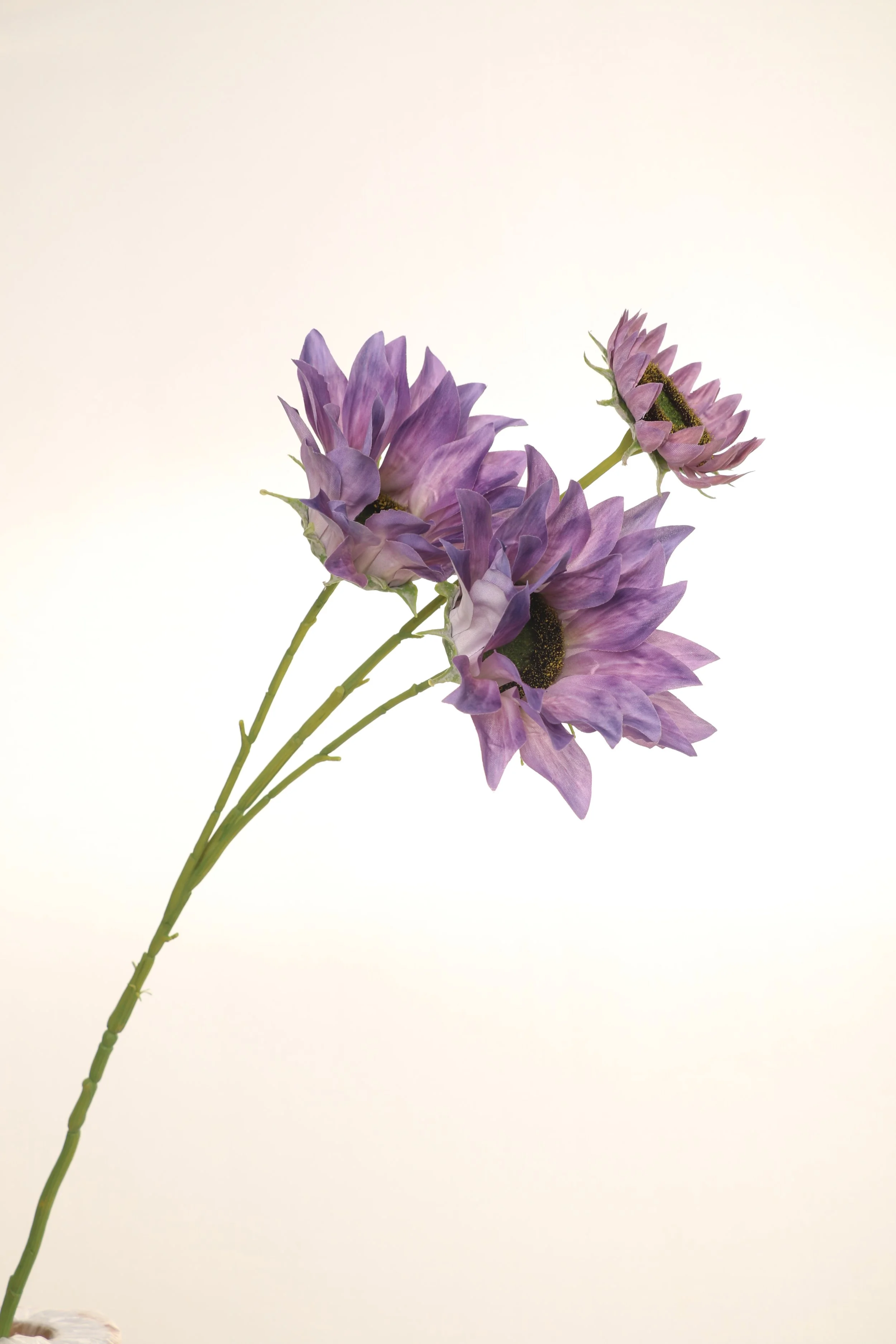158A6212.JPG