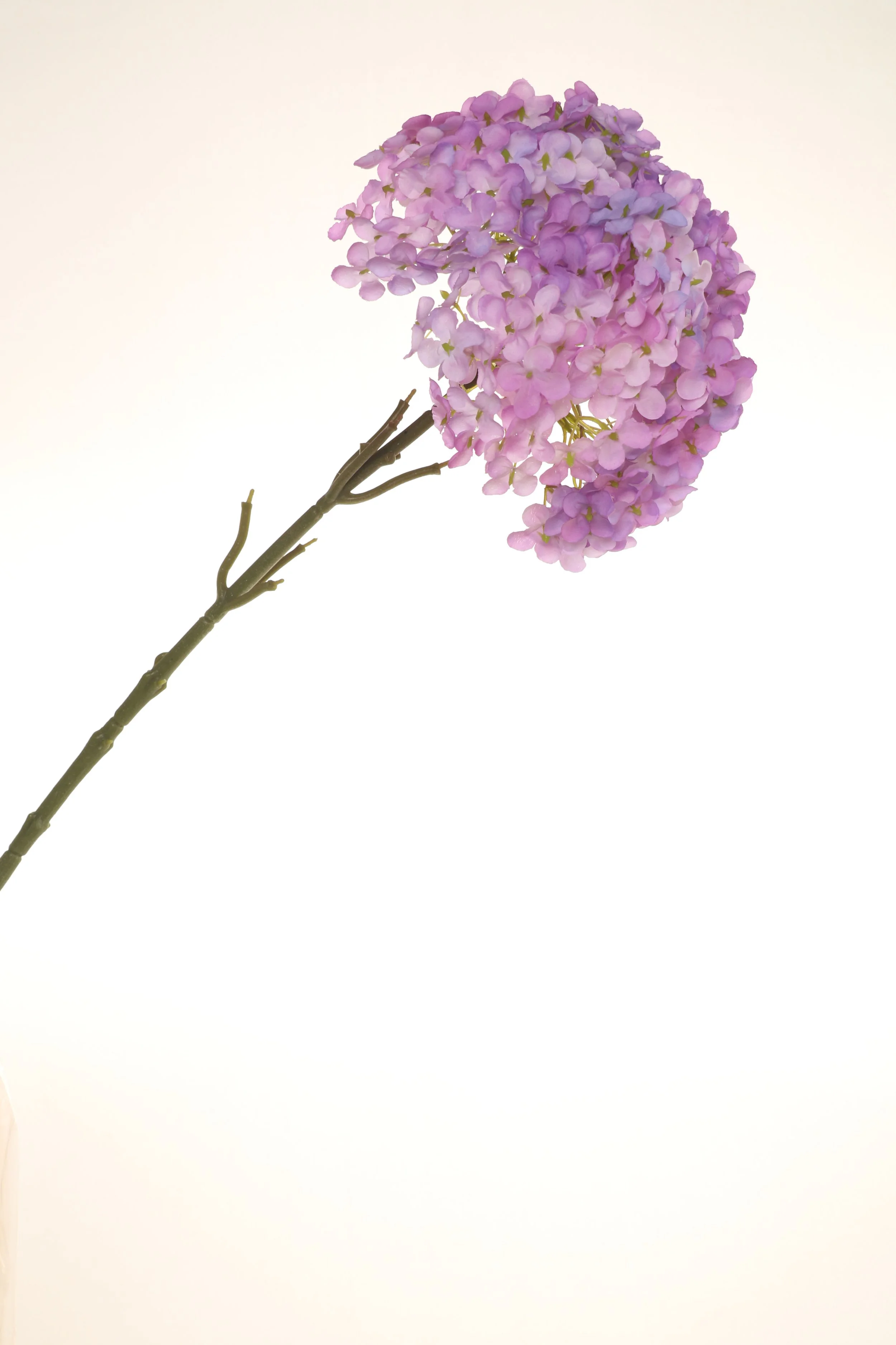 158A6225.JPG