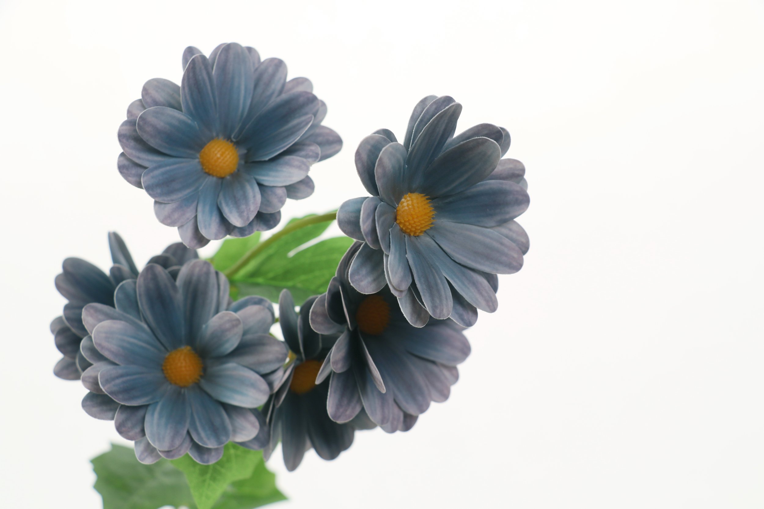 Dusty Blue Daisy Spray