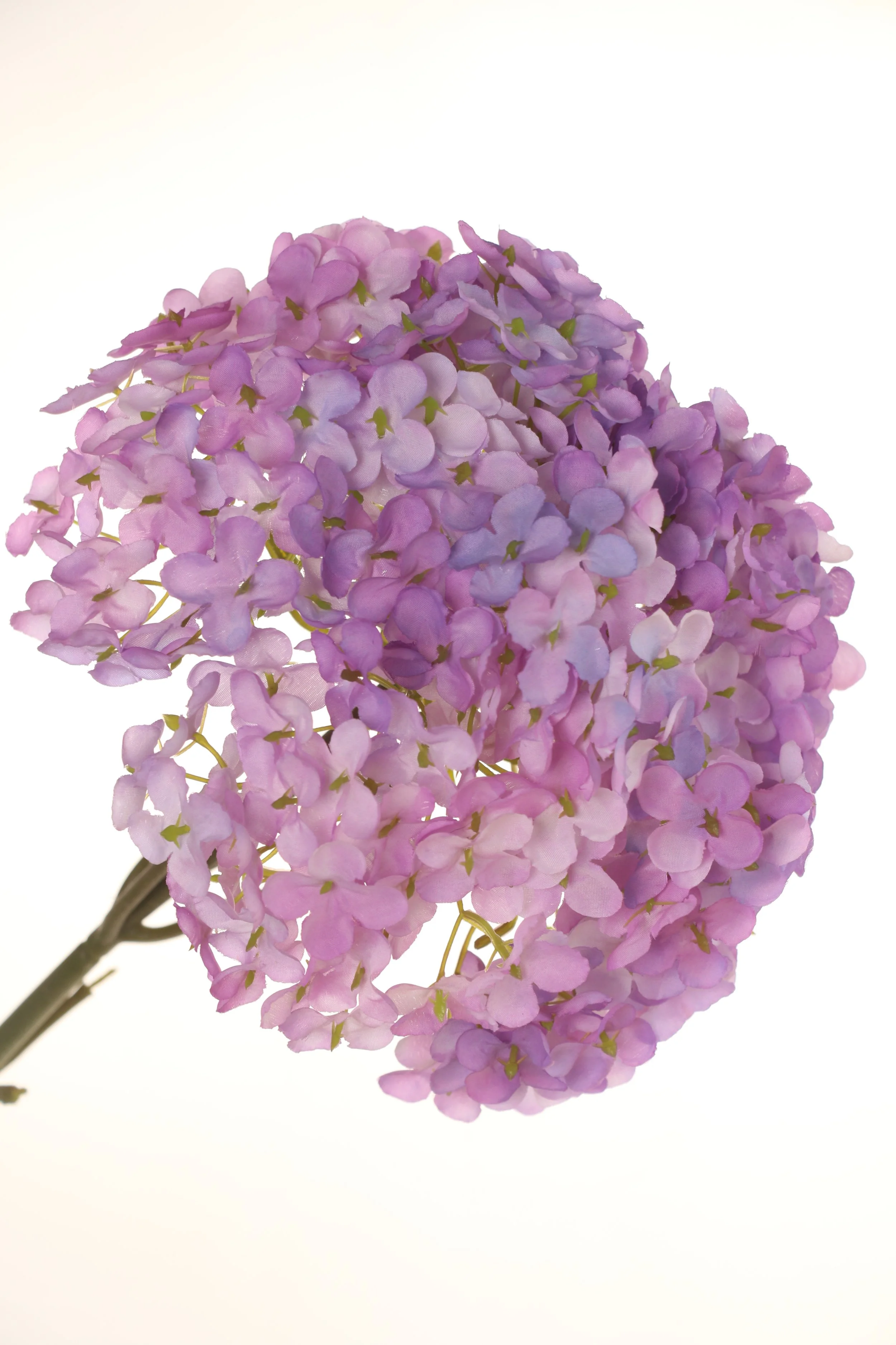Pink Purple Hydrangea Stem