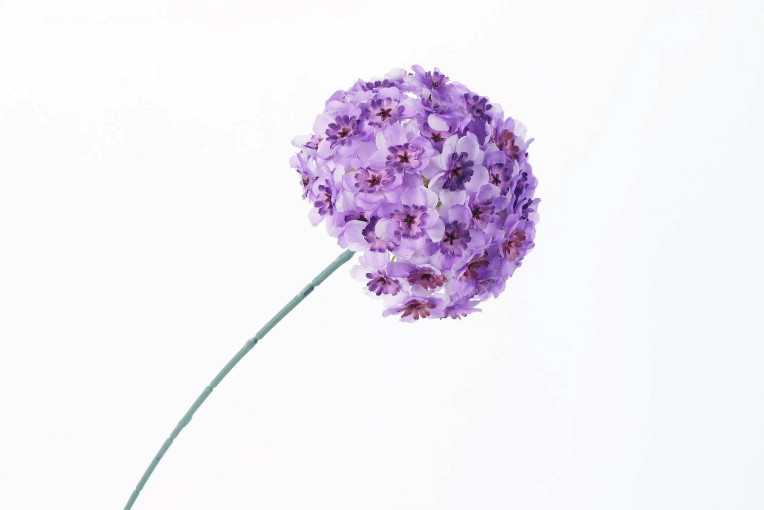 Mini Blossom Hydrangea