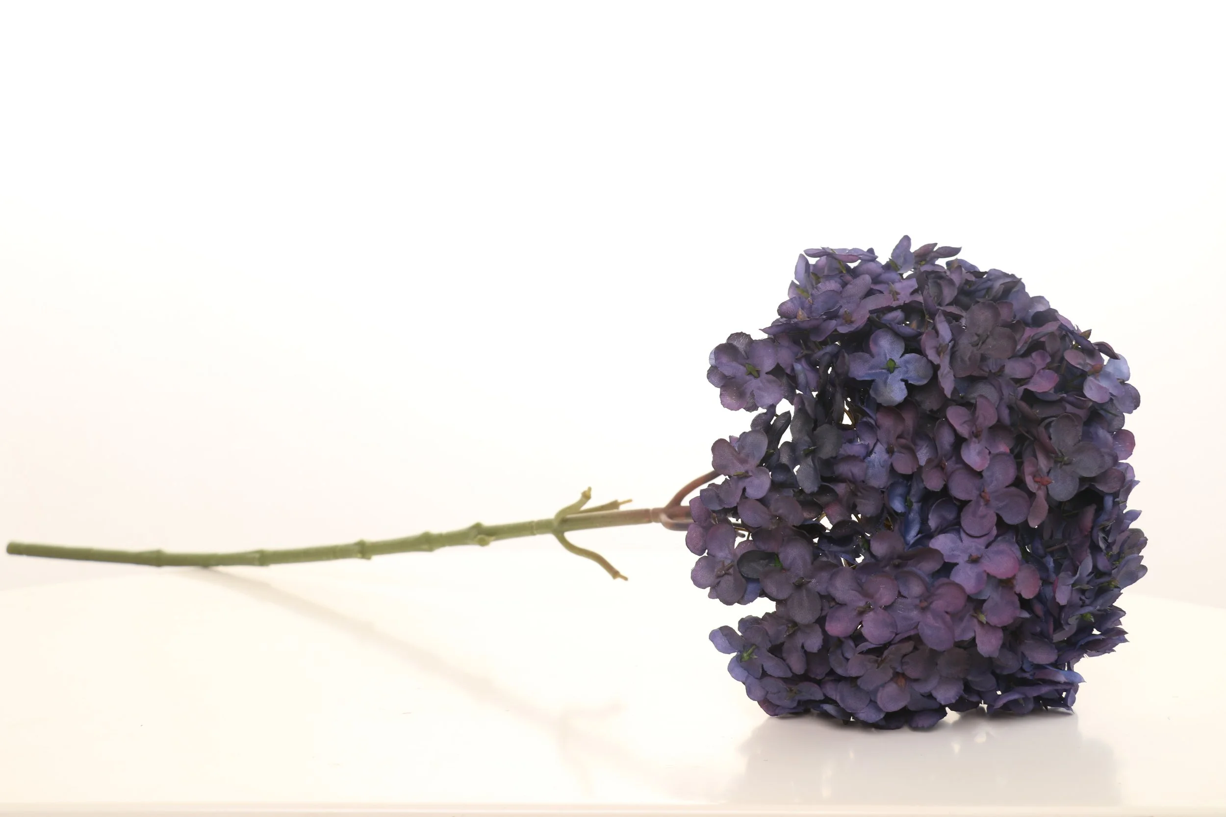 158A6197.JPG