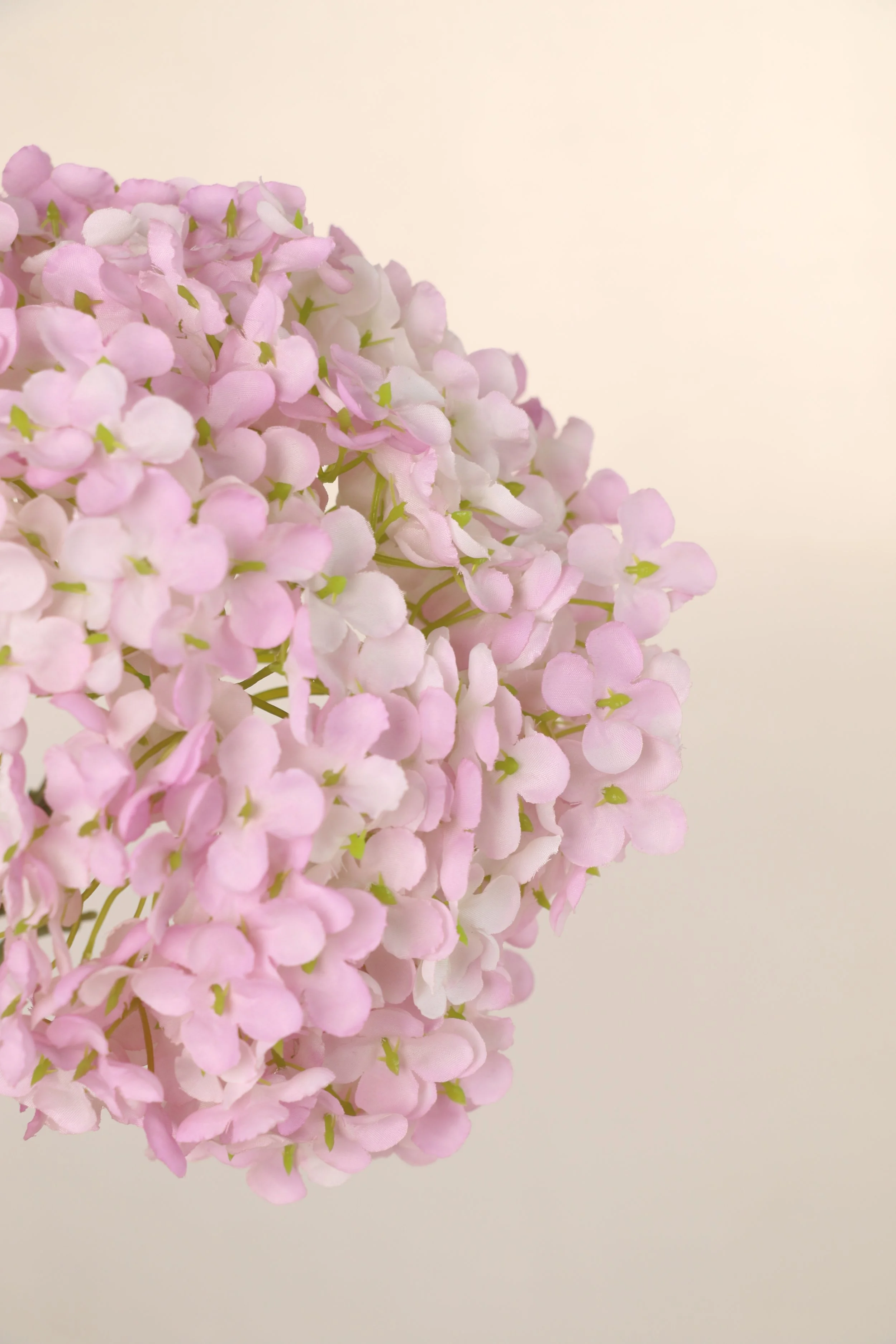  Light Pink Hydrangea Stem