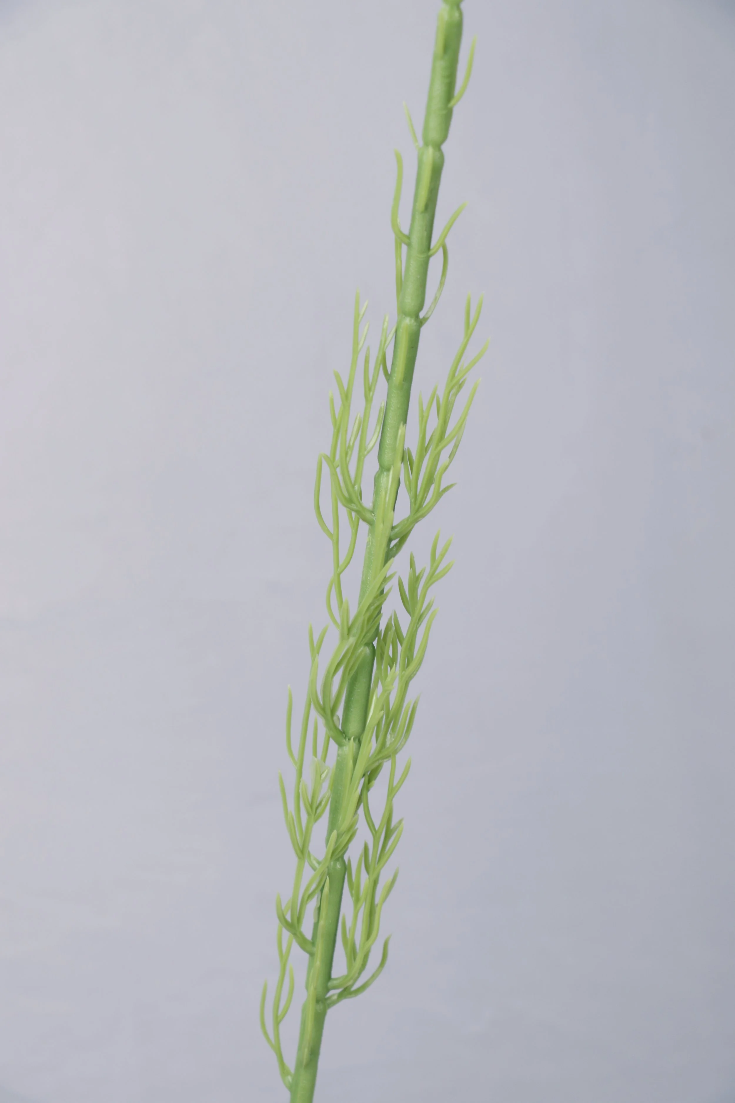 158A6342.JPG