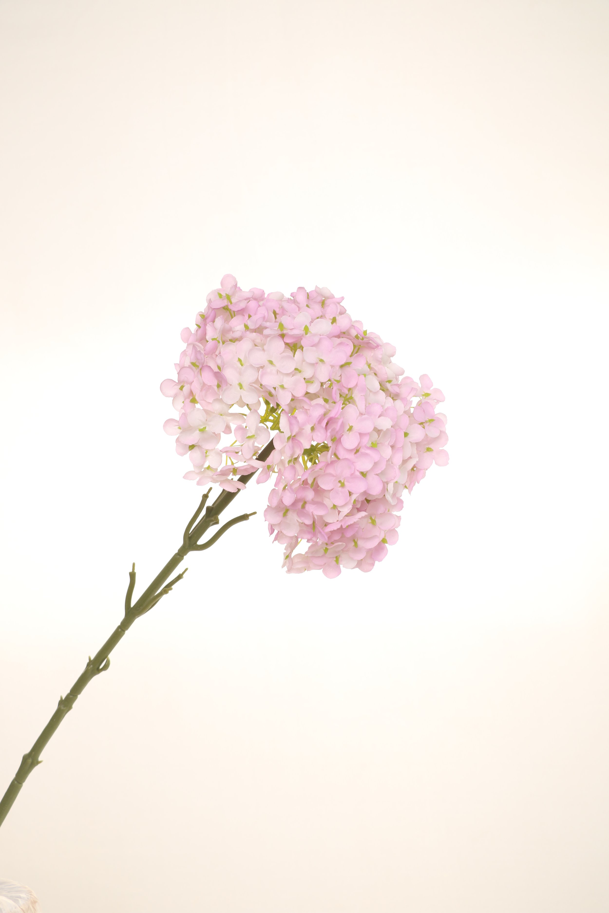 158A6215.JPG
